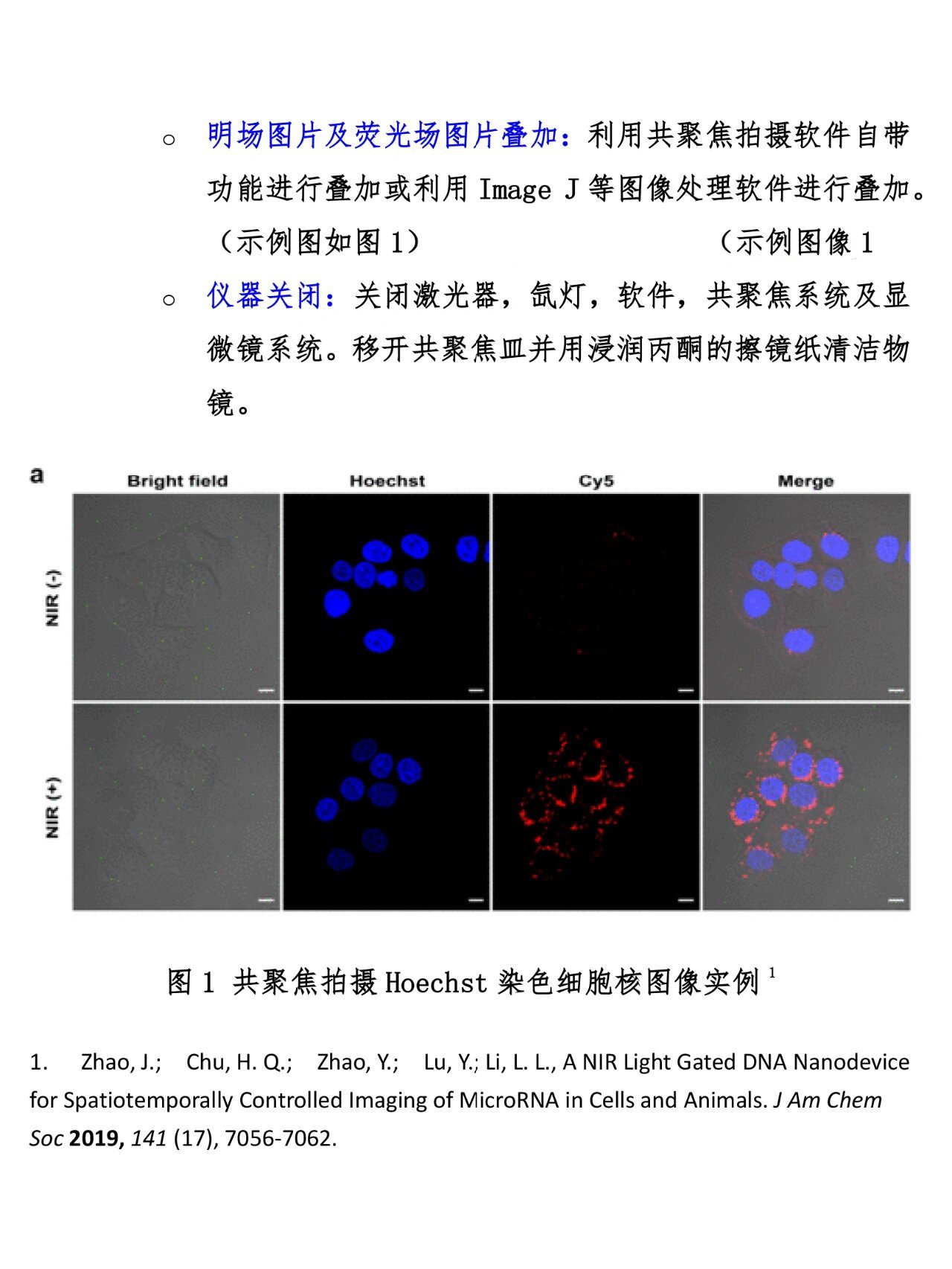 hoechst对细胞核染色实验操作 上一期和大家分享了dapi染核操作这期