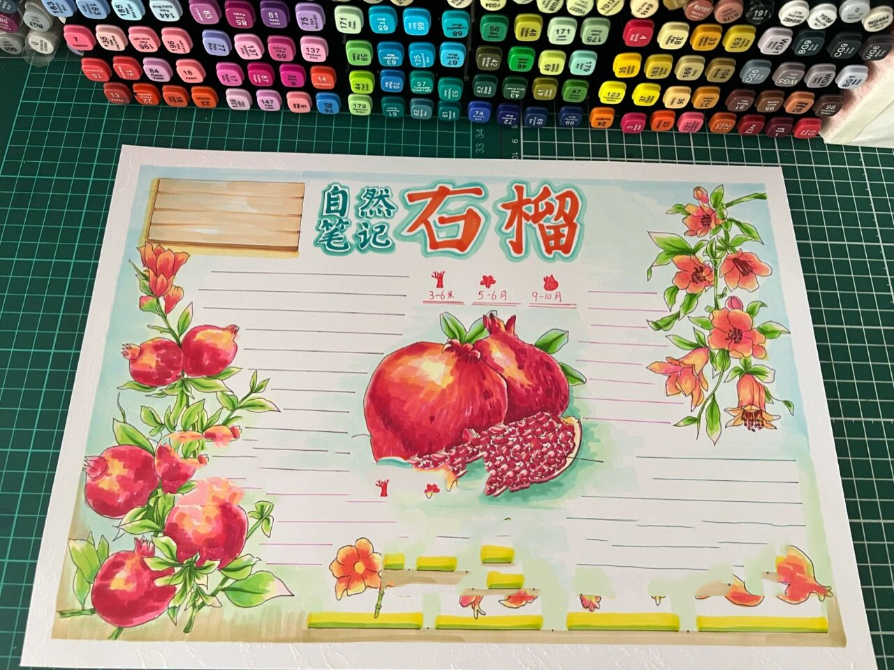 自然笔记 石榴 植物观察手抄报 手抄报模板