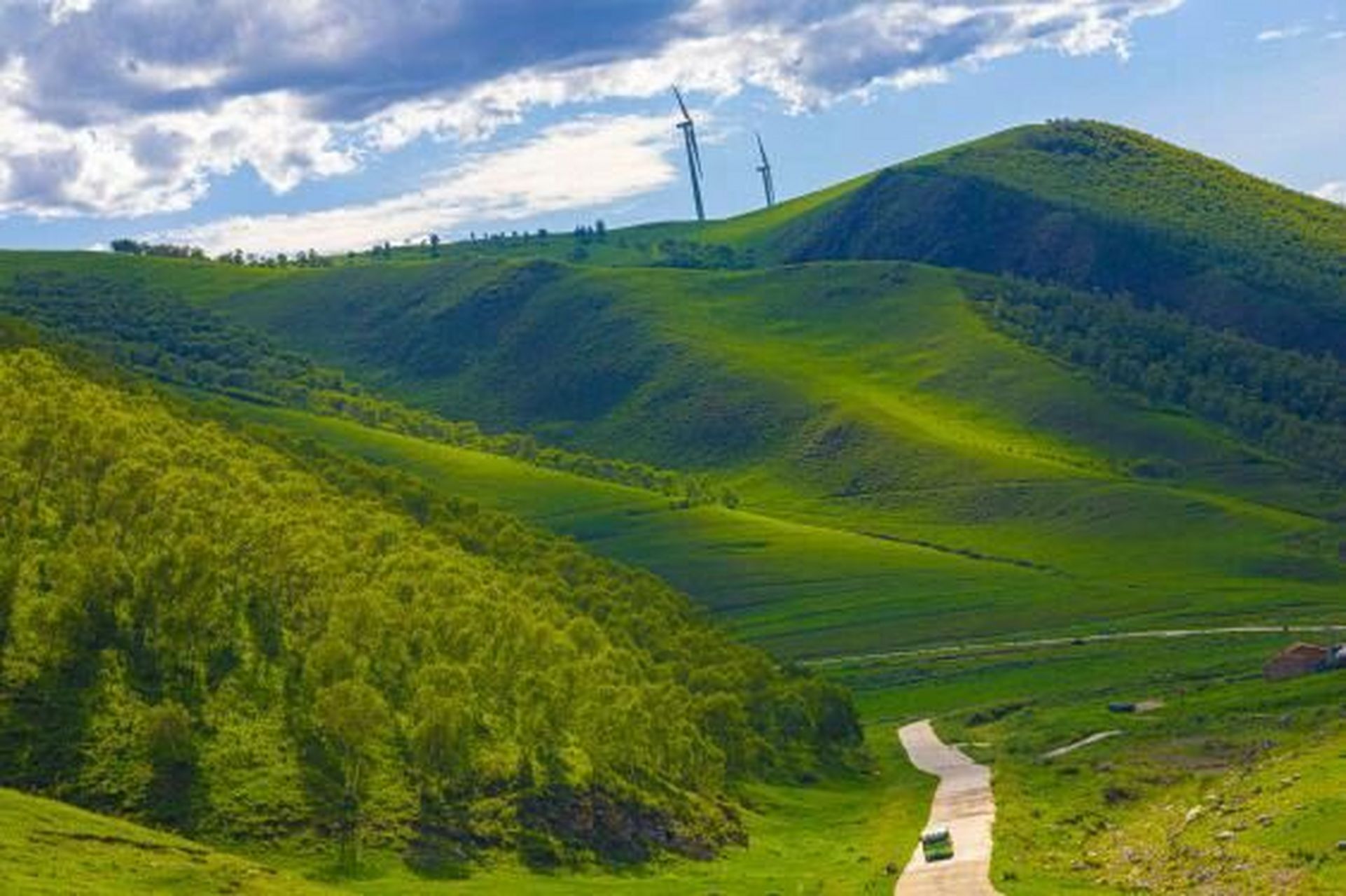 夏天的草原是最受欢迎的避暑之地 辉腾锡勒黄花沟草原旅游区是距离