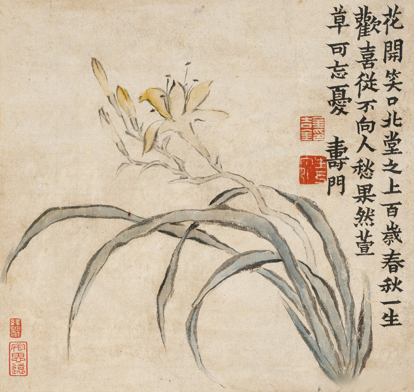 【 画家金农花鸟画《杂画册》】