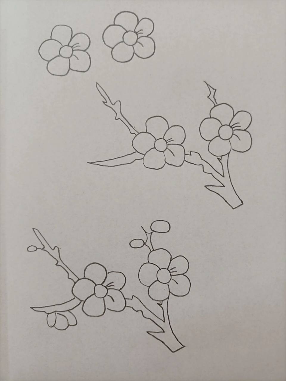 简笔画(209)梅花 坚持,加油! 宝剑锋从磨砺出,梅花香自苦寒来.