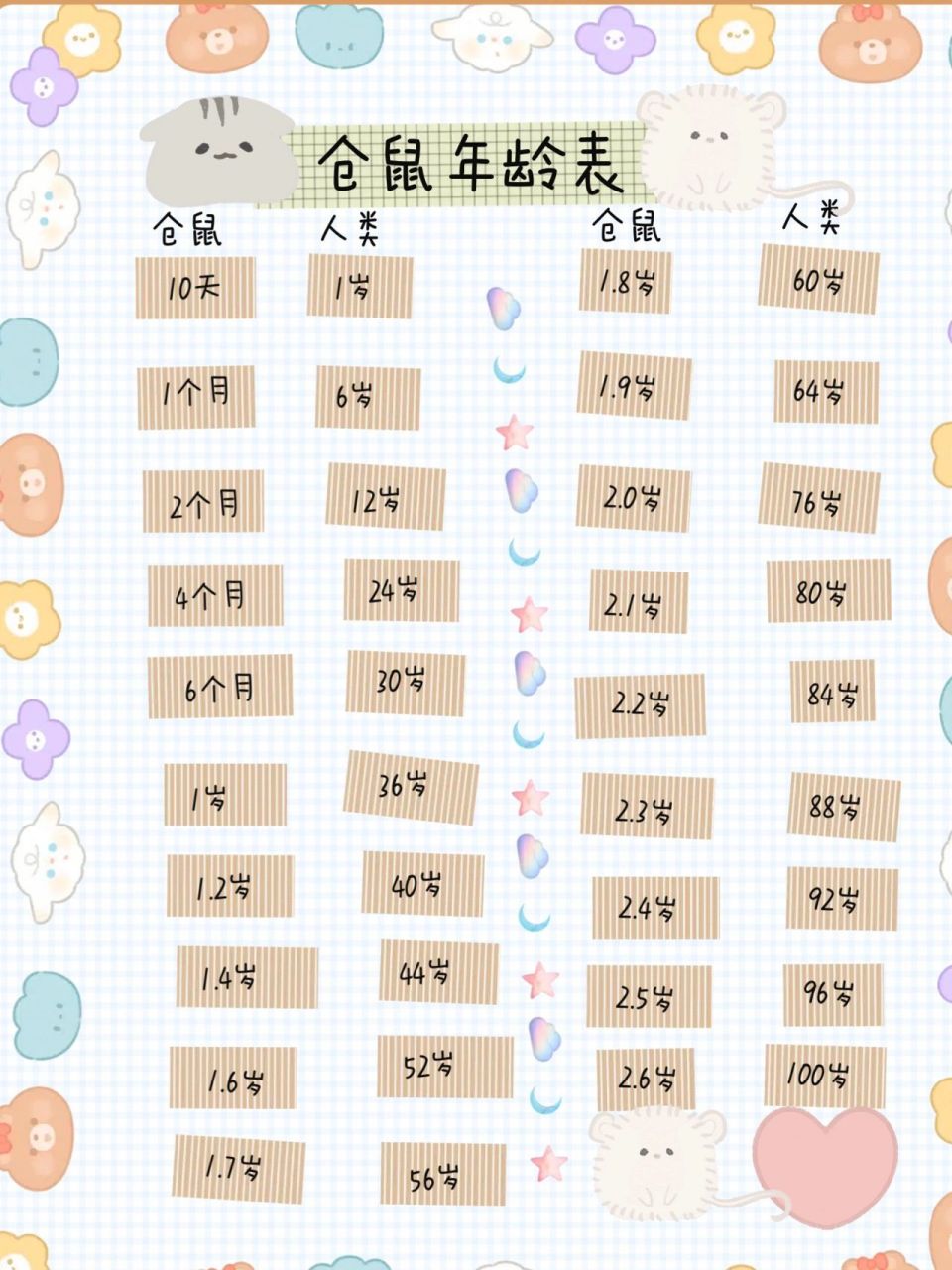 91仓鼠年龄对照 94仓鼠宝宝一般寿命是在1.5～2.