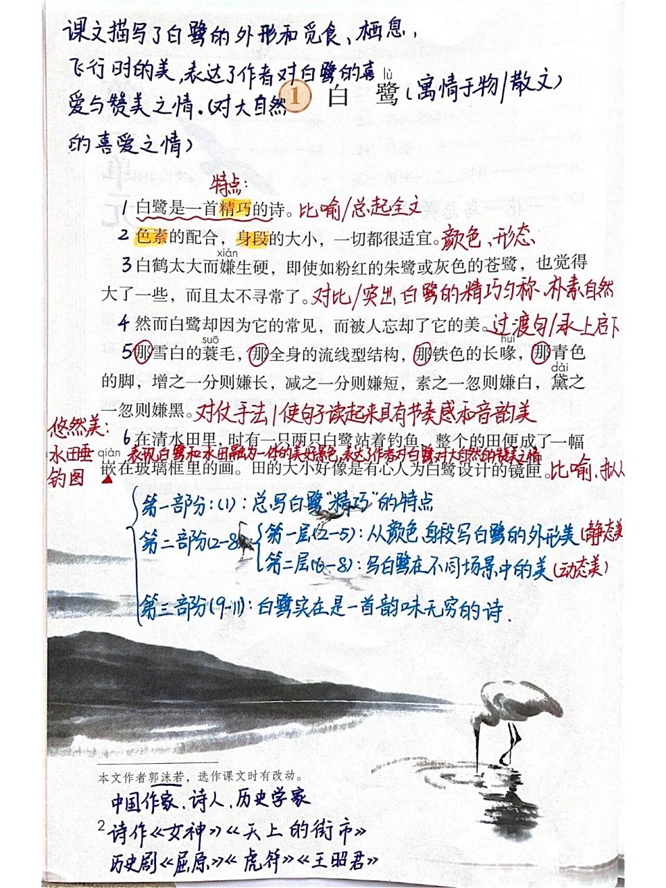五年级上册课文《白鹭》详细备课笔记