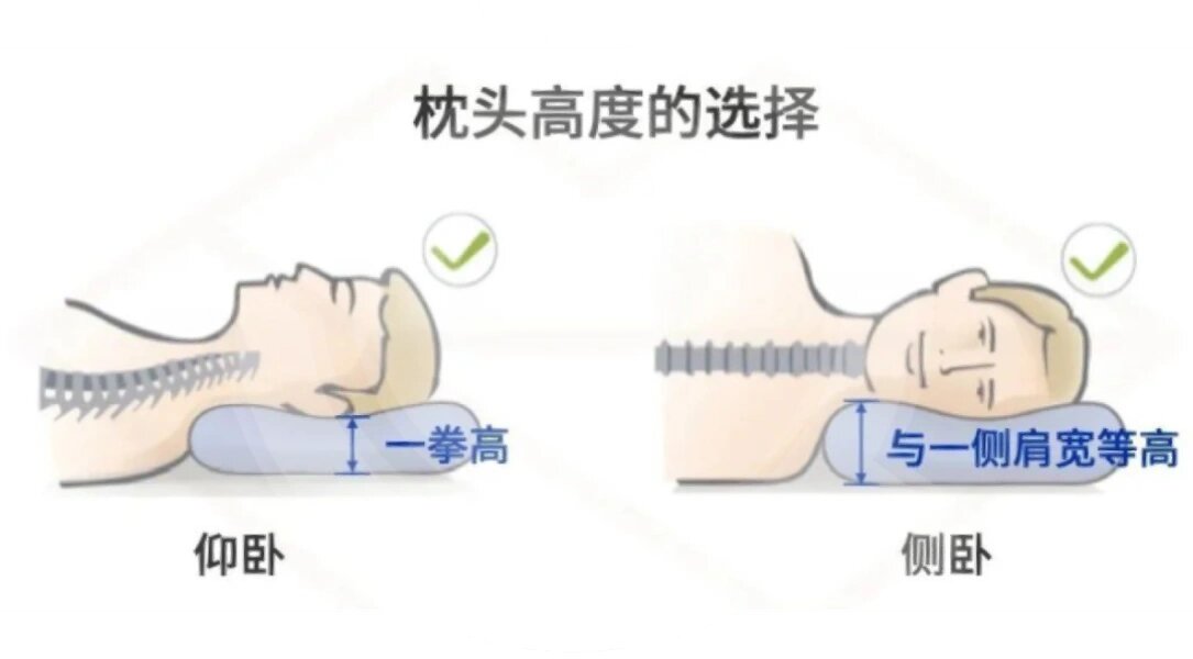 枕头标准多高合适图解图片