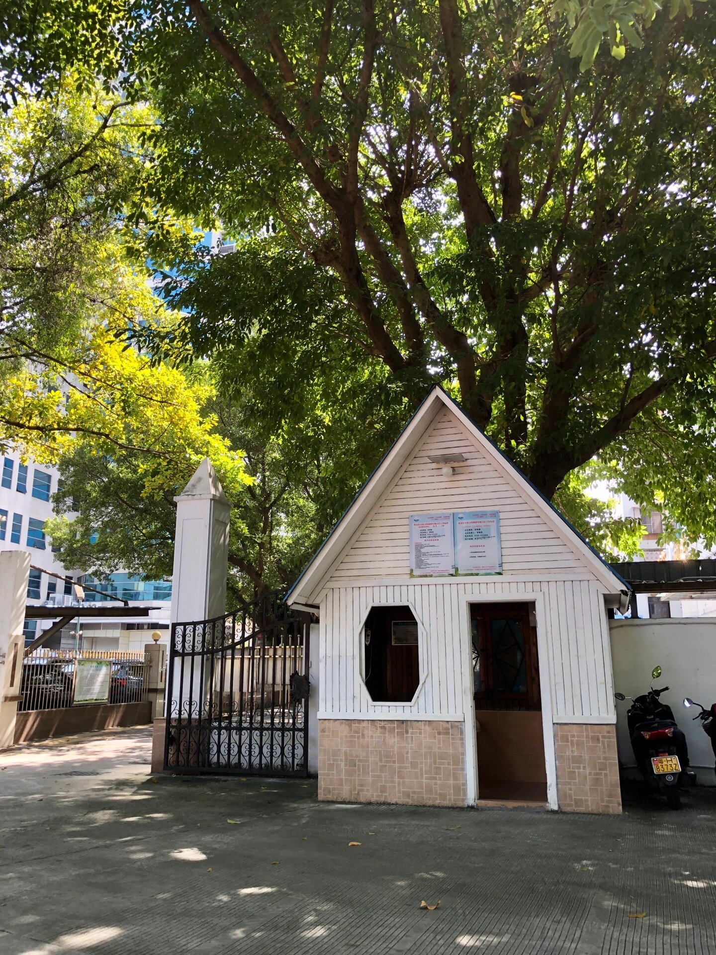 肇庆citywalk| 宝月公园