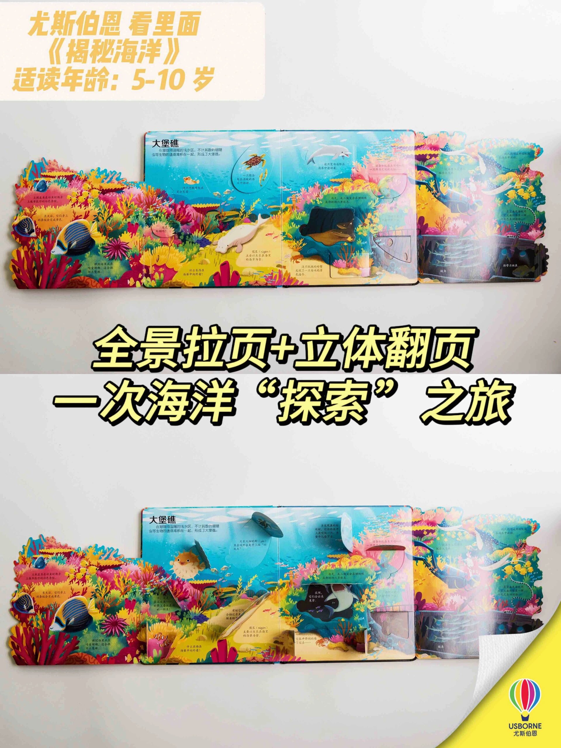 大海好美01给孩子的保护海洋环保主题书单
