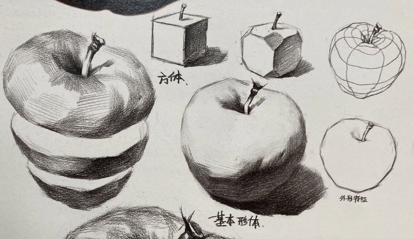 素描苹果怎么画?分享素描苹果画法步骤图