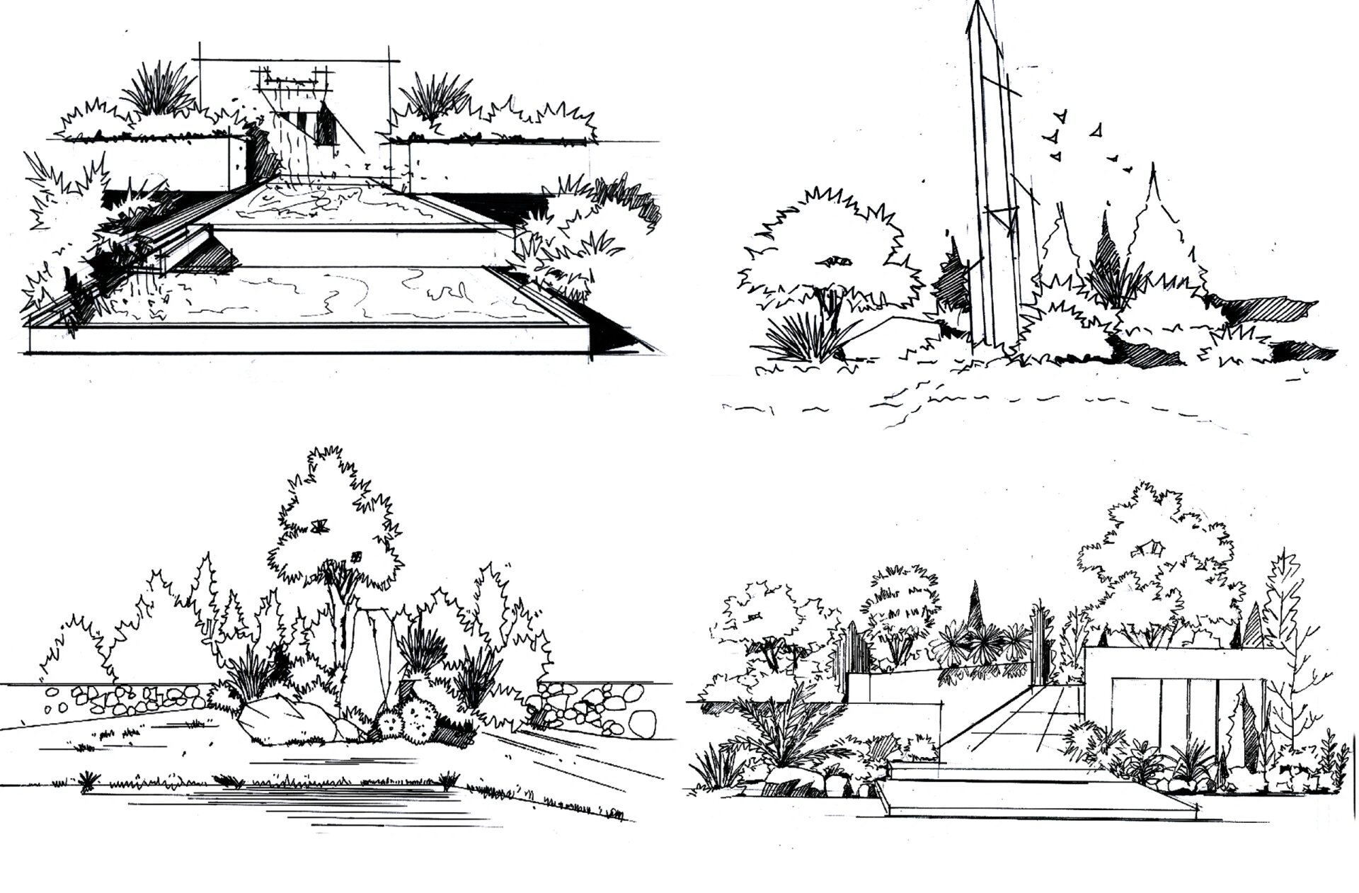 风景园林景观植物组团手绘干货分享