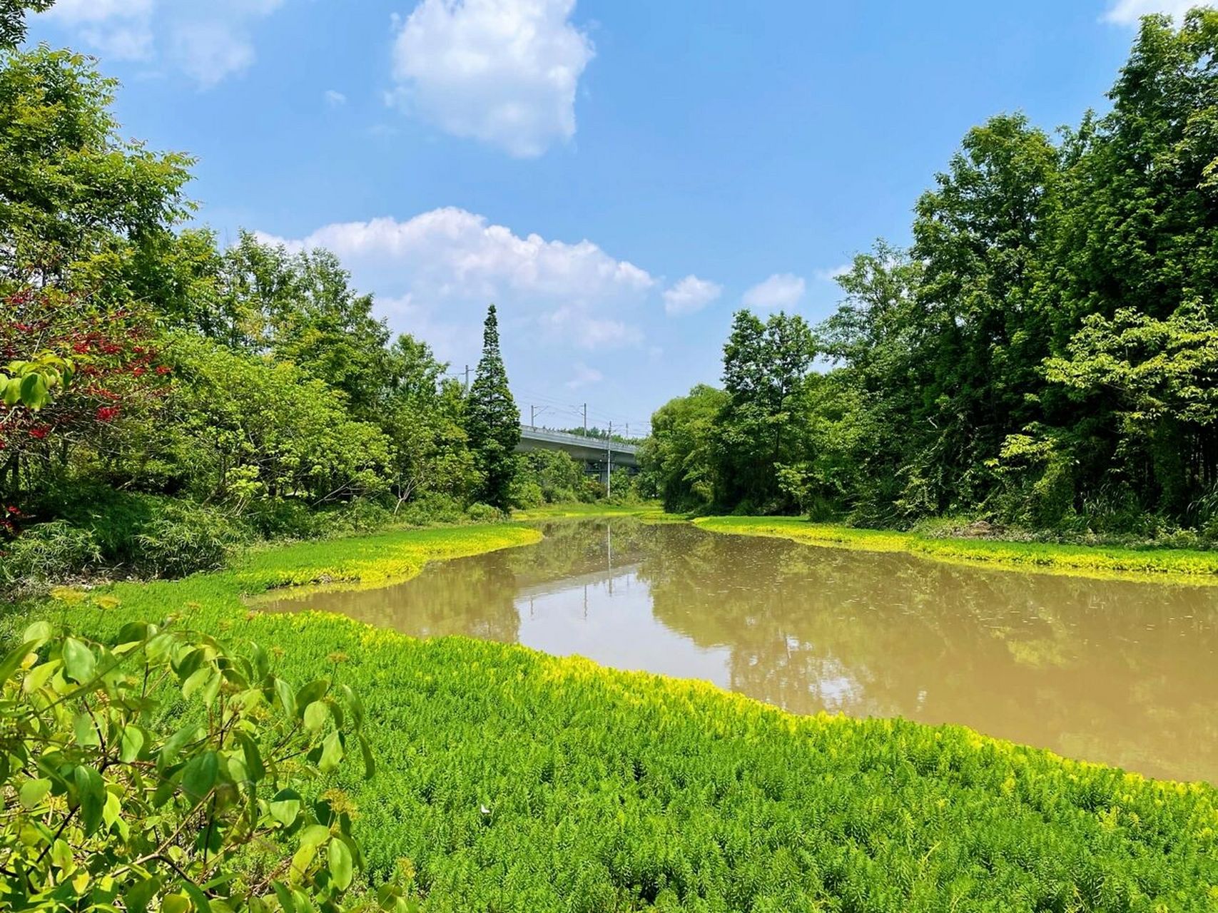 成都周邊值得安排的一日遊(崇州) 榿木河溼地公園 07地址交通