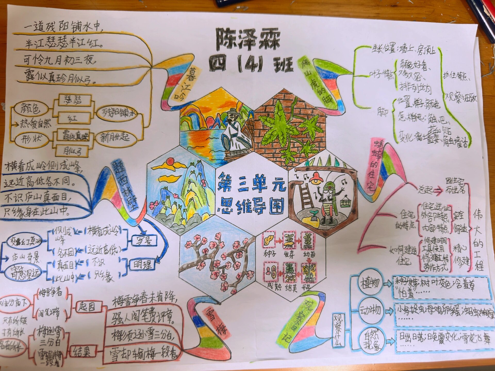 四上语文第三单元思维导图