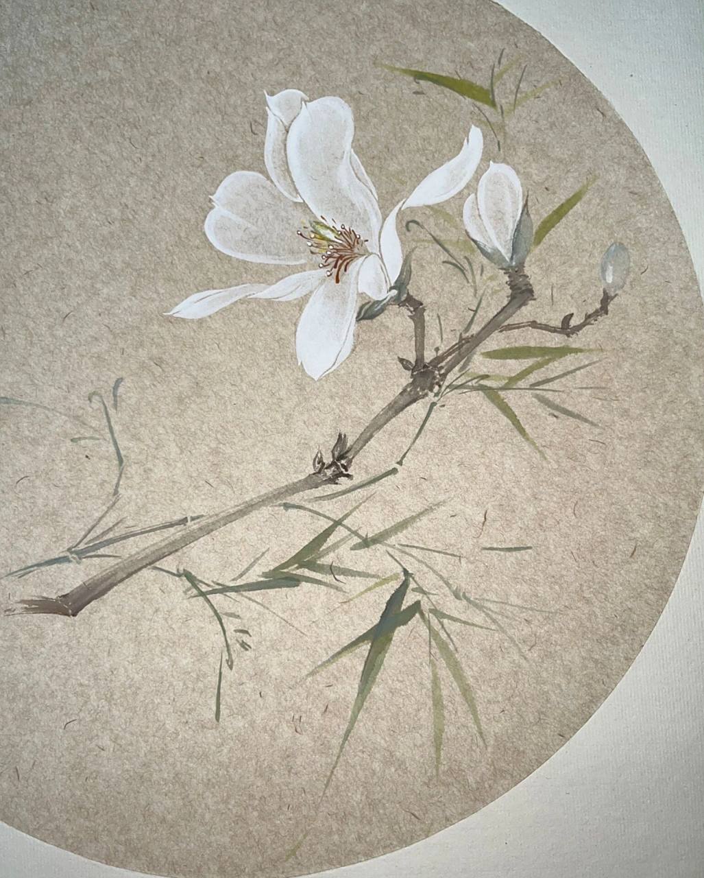 打卡一百幅国画之第三幅——玉兰花 白玉兰花的绽放是那么的不显山不