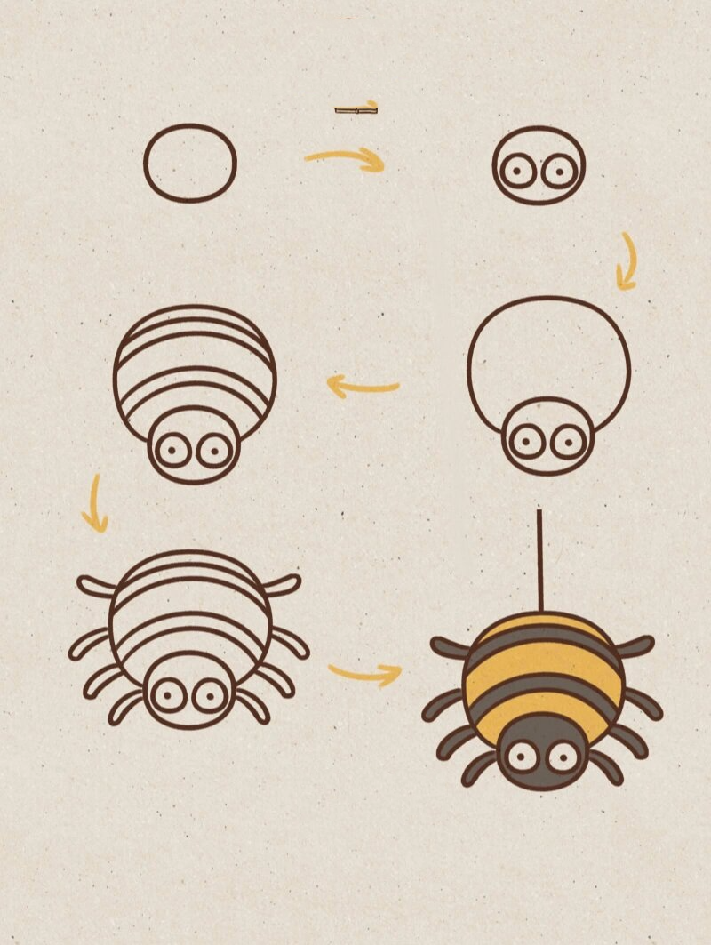 小贝简笔画-蜘蛛99