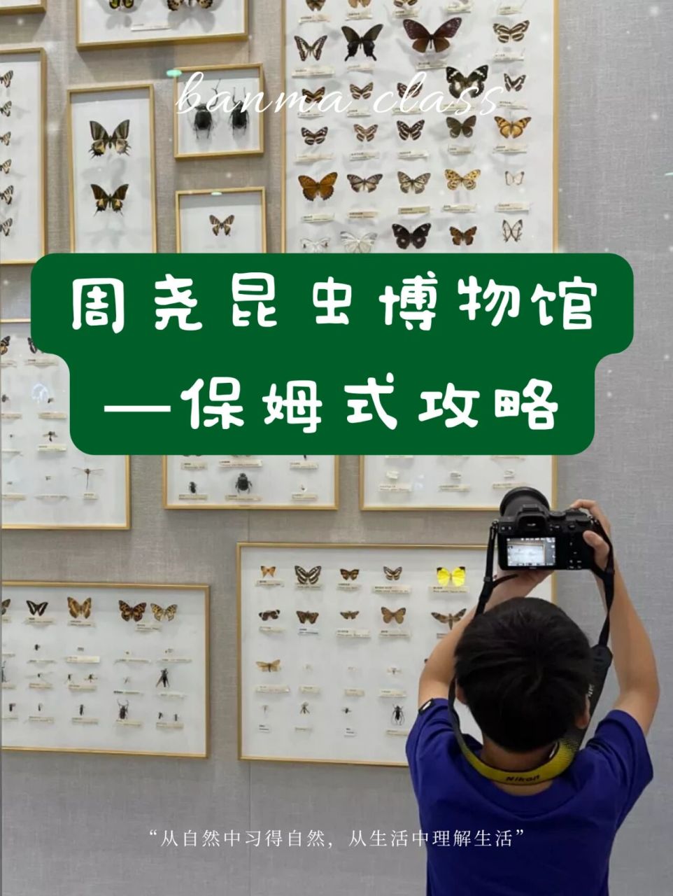 全宁波最难约的"周尧昆虫博物馆",好玩么 99周尧昆虫博物馆 07