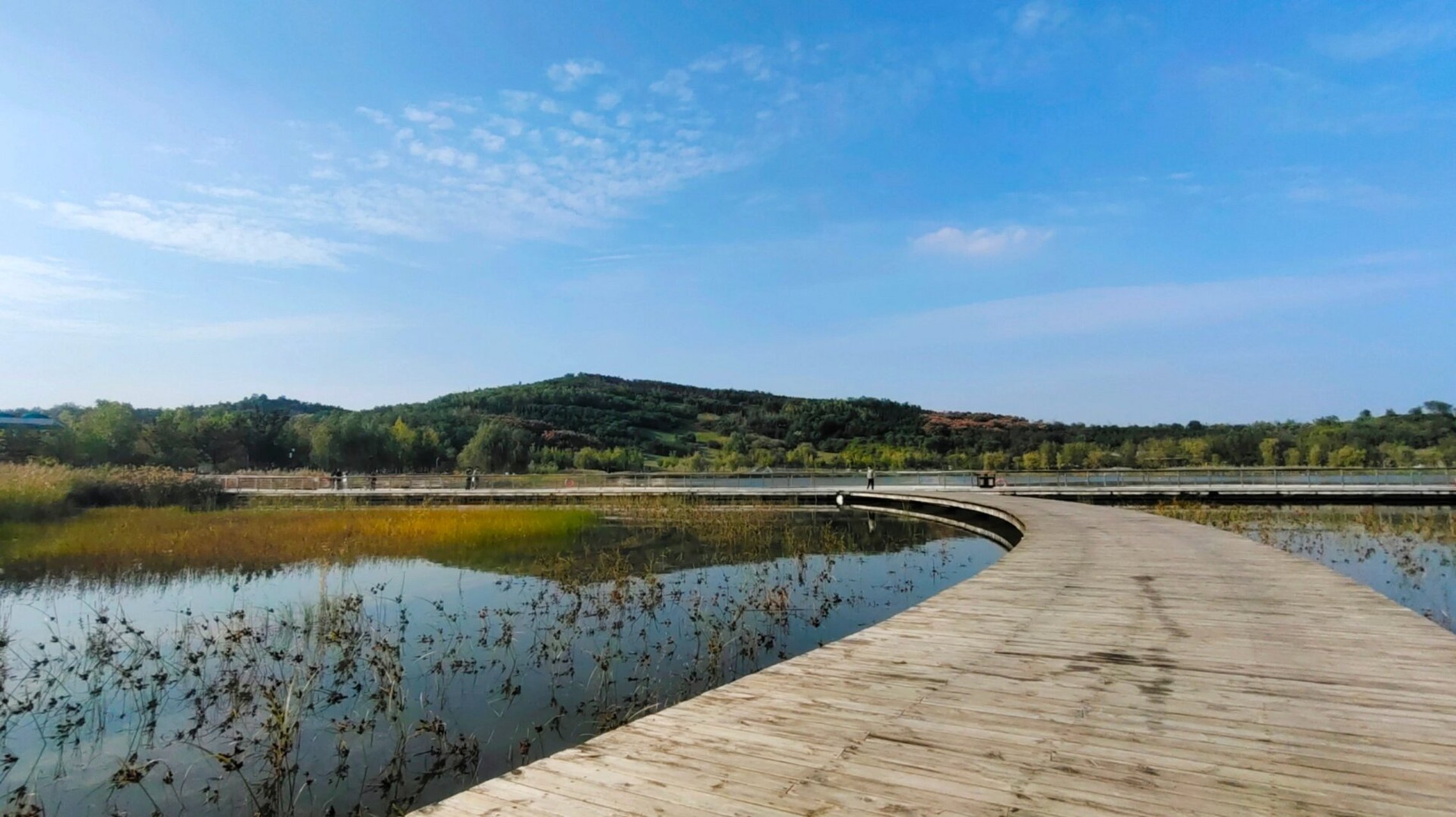 不出郑州的人少景美公园——牟山湿地公园 今年国庆八天假,但是阴雨了