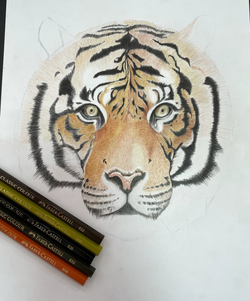 十二生肖系列 彩铅《虎》新手绘画尝试 马上快虎年啦 画只大老虎 看