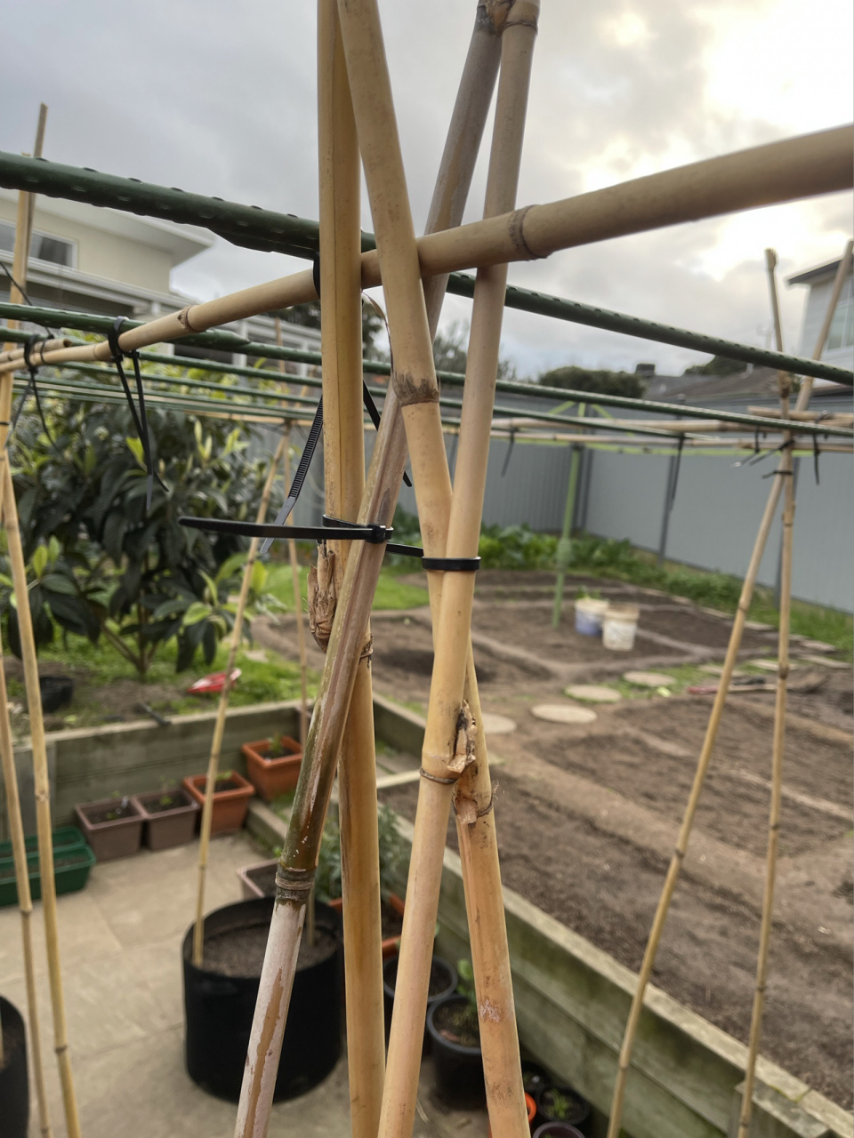 小家庭春夏云种菜9 10平方的瓜架子搭好了,谢谢po主"菜菜们 喵"的创意