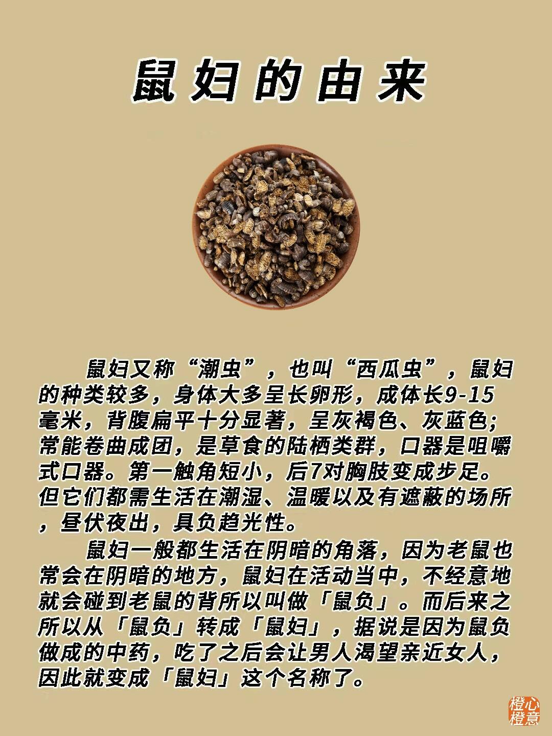 虫子中药材名称大全图片