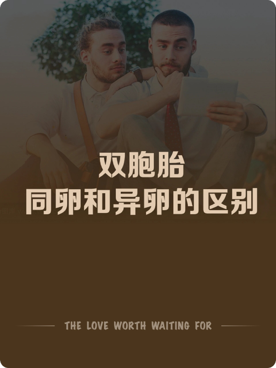 异卵双胞胎兄弟图片