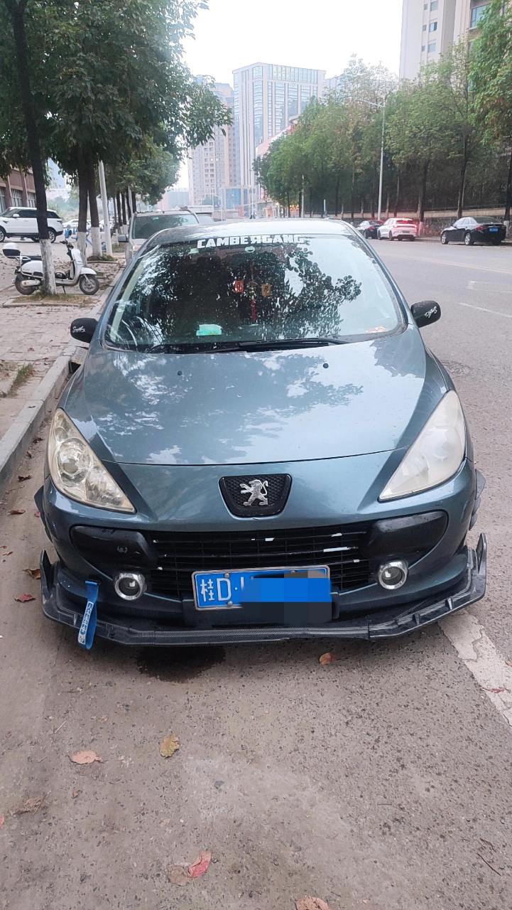 分享给车友标致307的改装灵感