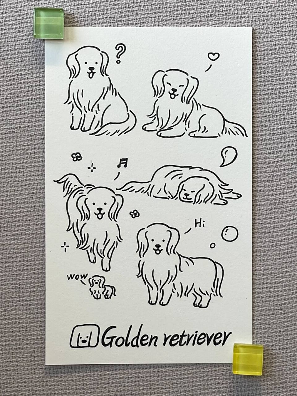 98狗狗简笔画100-13|金毛 狗狗简笔画第13弹!今天是小金毛!