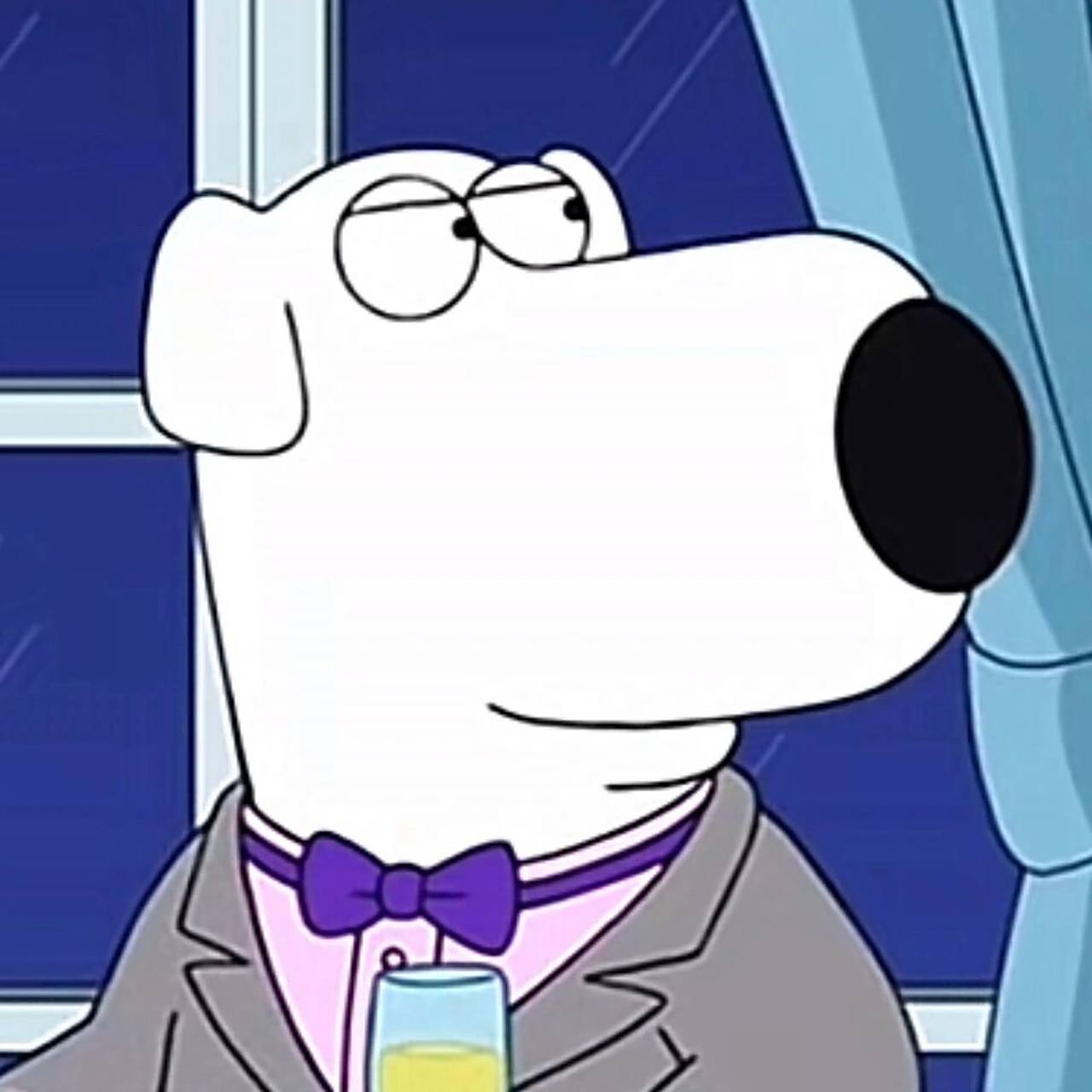 恶搞之家family guy头像 brian篇 its brian griffin, obviously