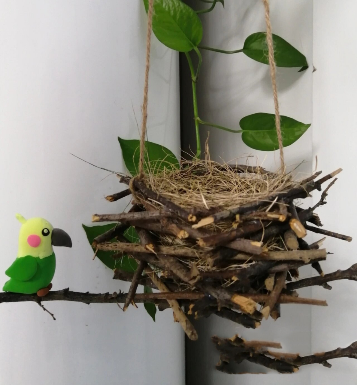化树枝为鸟窝90 娃捡的树枝和干草,我就来动手做个鸟窝,娃又用粘土