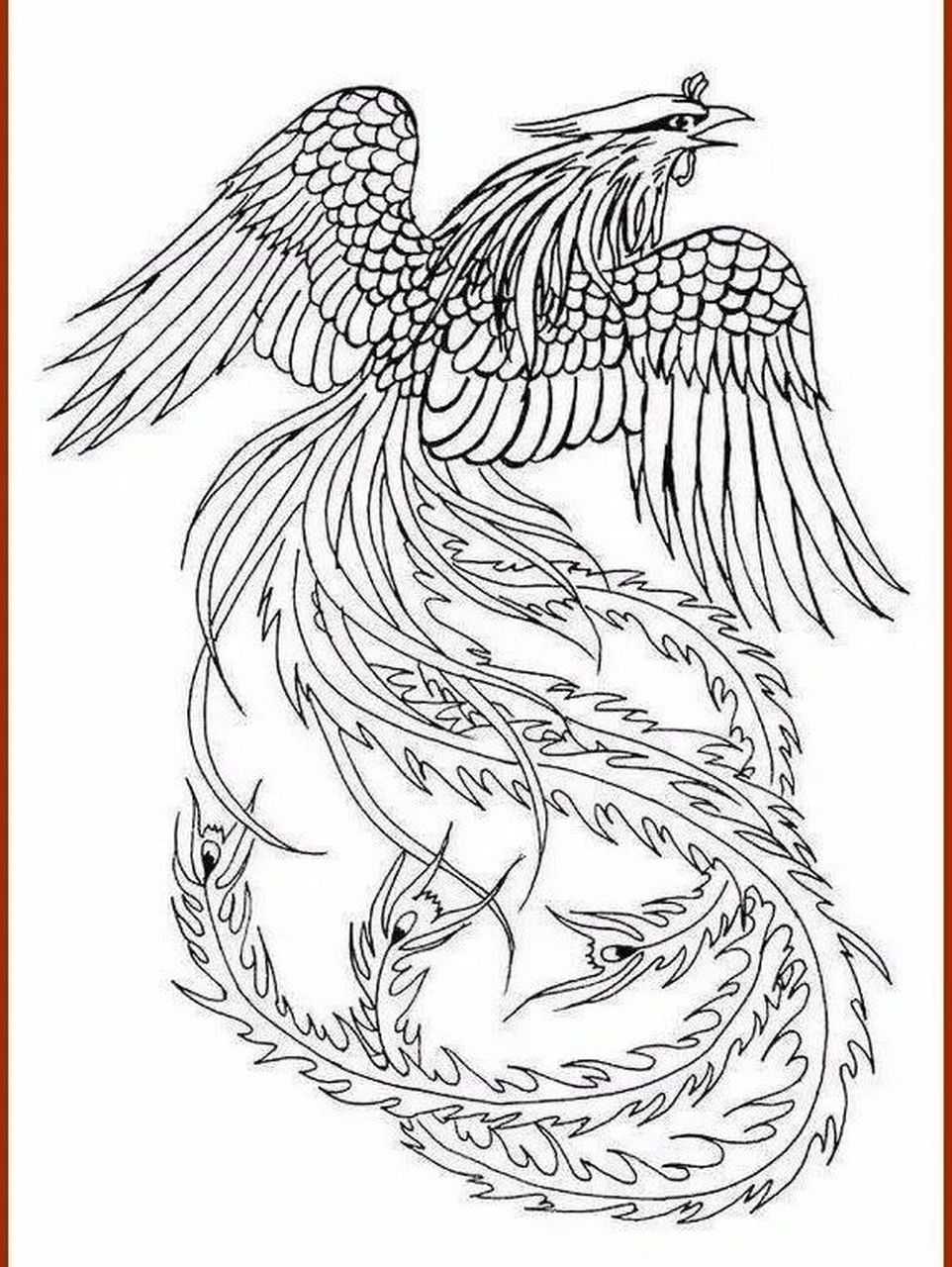 雄的叫"凤",雌的叫"凰",总称为凤凰,亦称为丹鸟,火鸟,鶤鸡,威凤等.