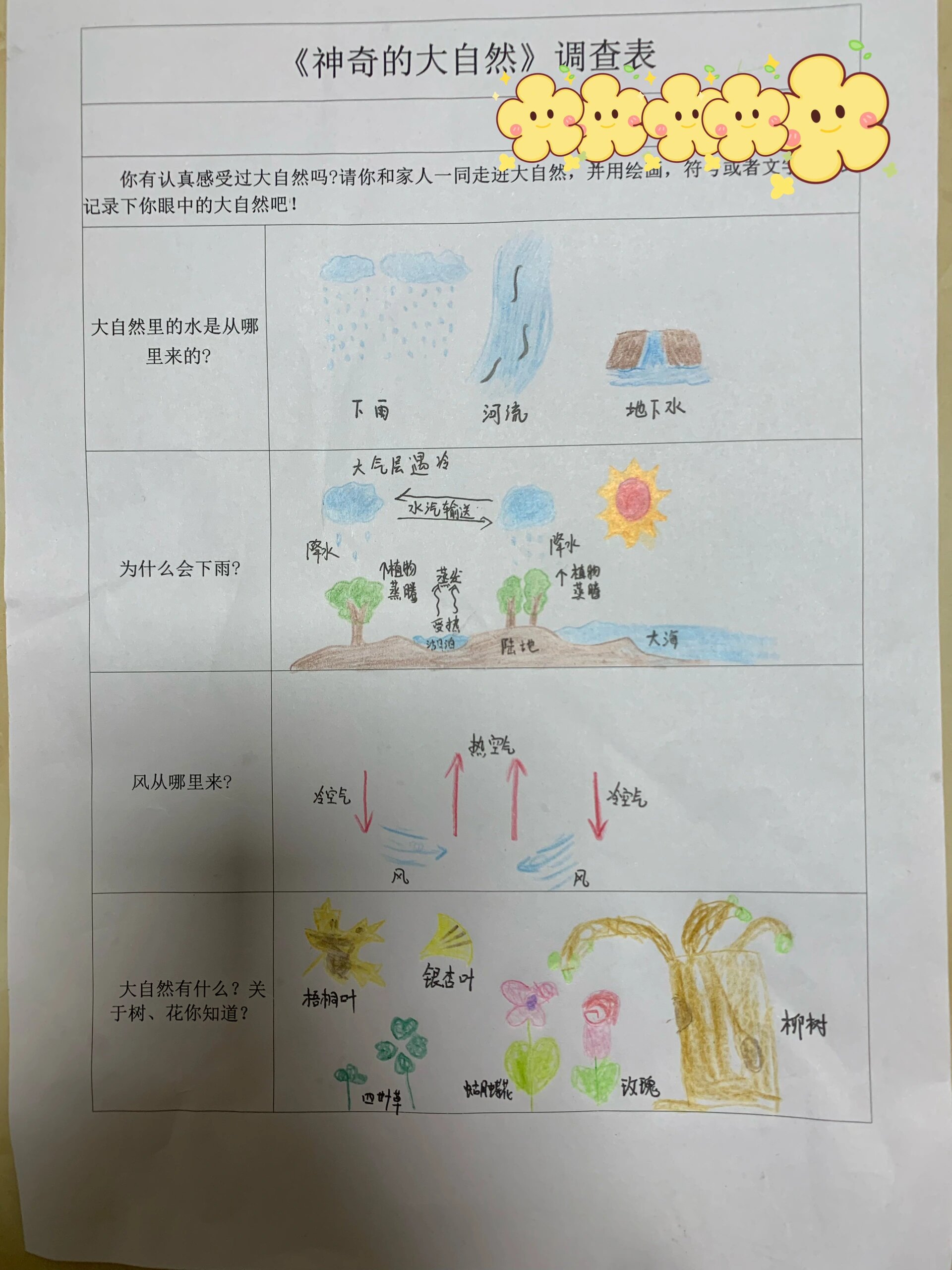 幼儿园大树调查表范本图片