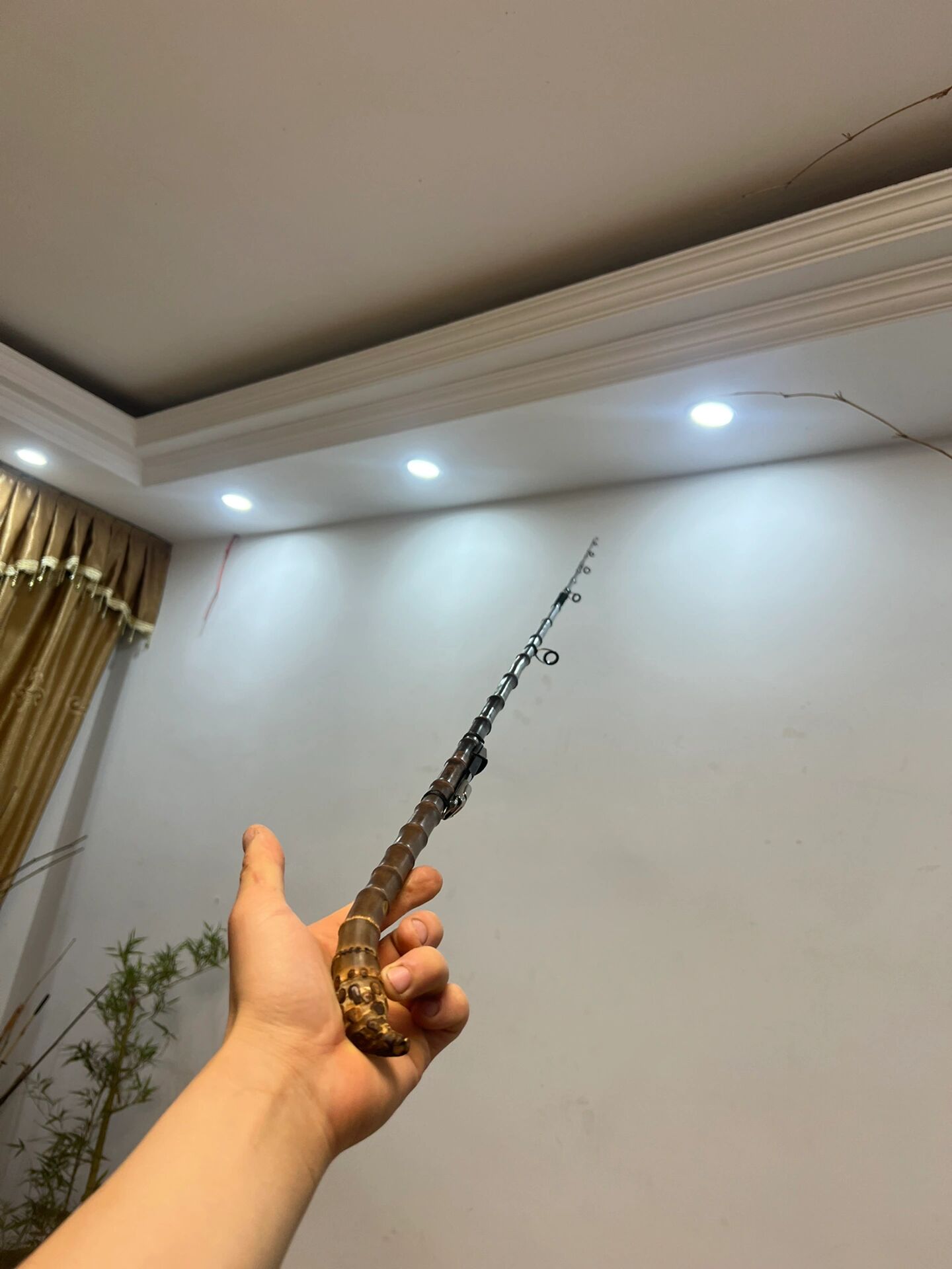 罗汉竹天然竹子鱼竿