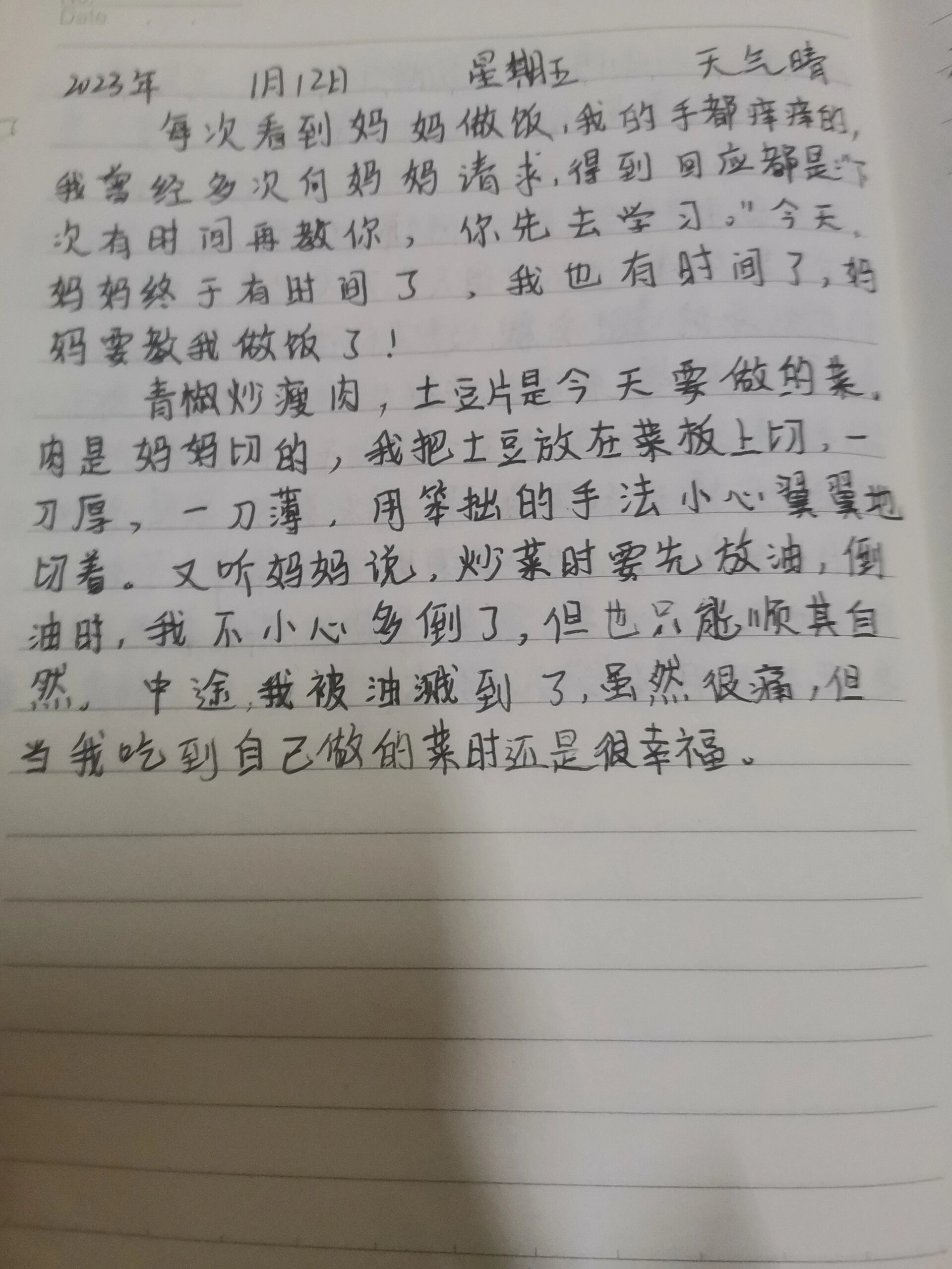 抄日记大全 一篇 少字图片