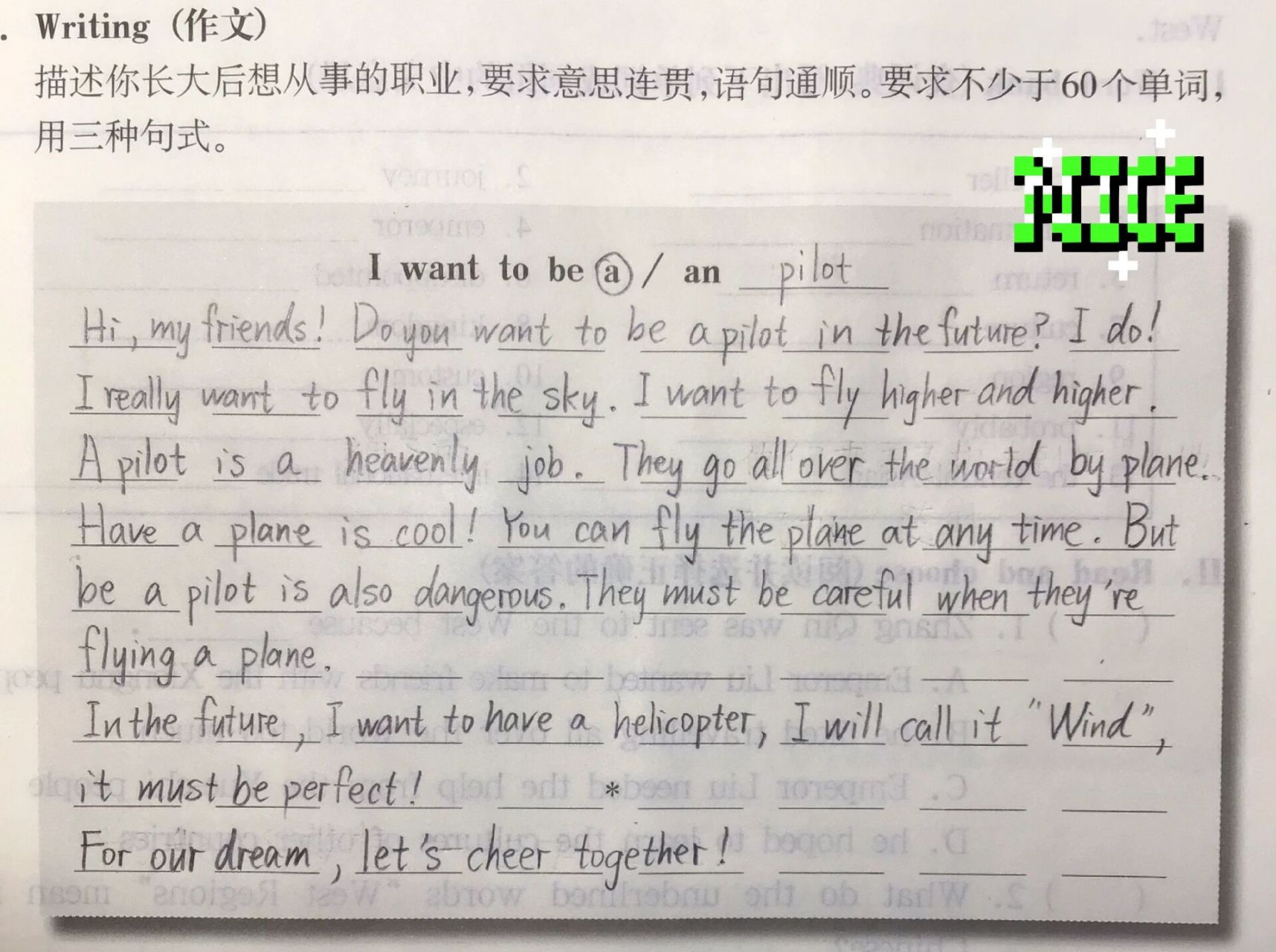 i want to be a pilot 英语作文