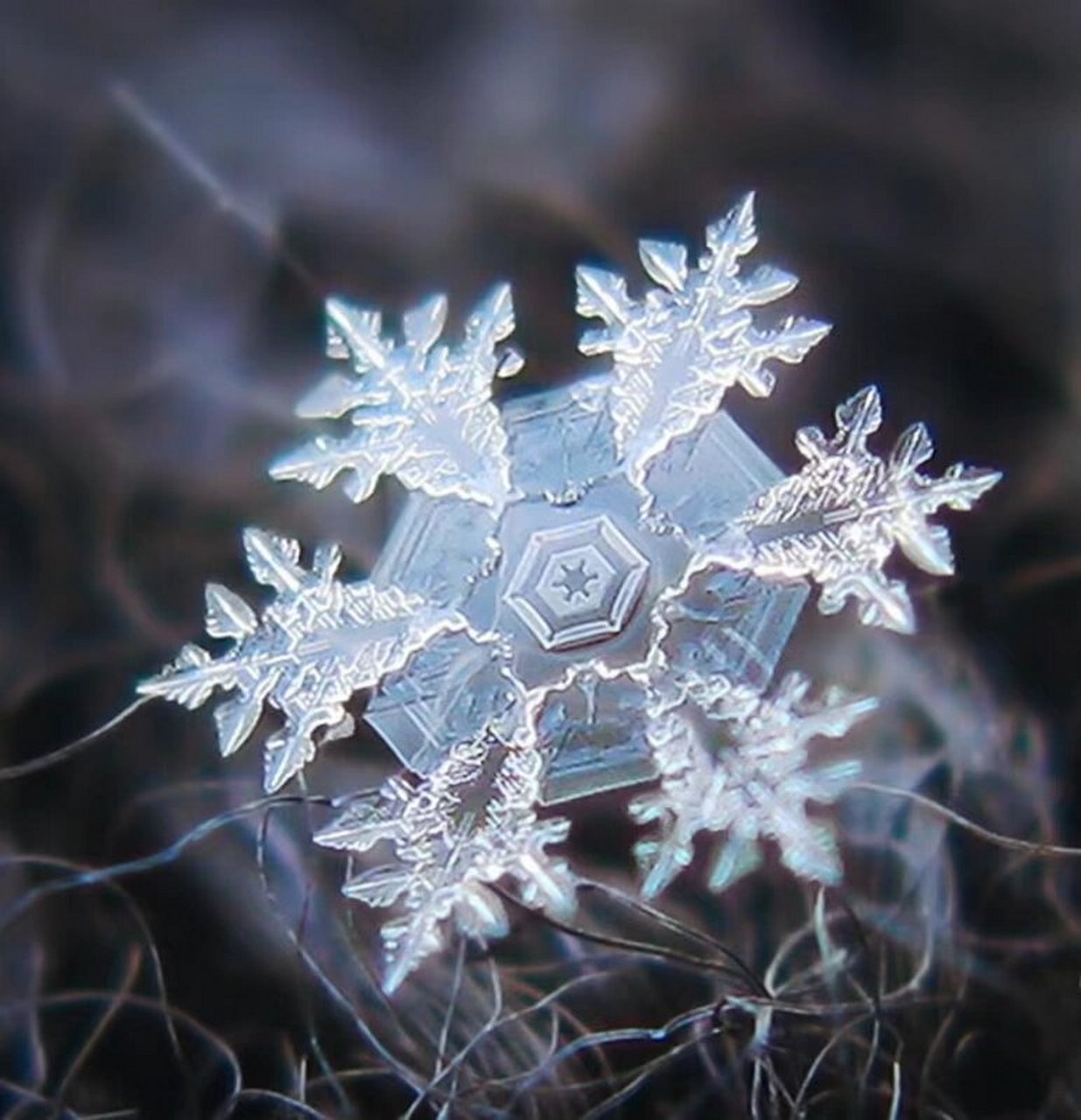 雪花图片大全高清图片