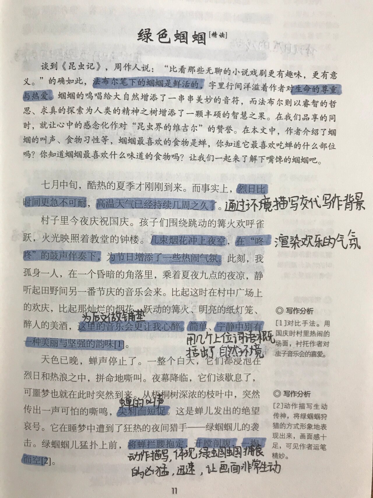 昆虫记批注