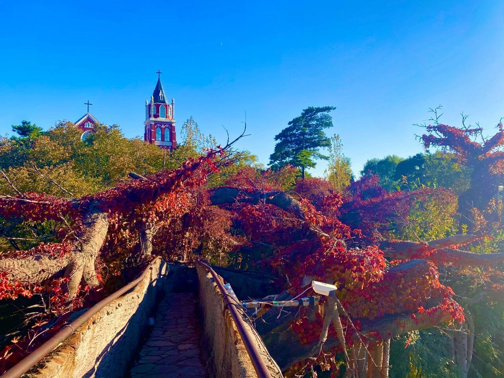 沈阳东北神学院|华夏民俗村|旅游攻略    99门票:免费 9315停车