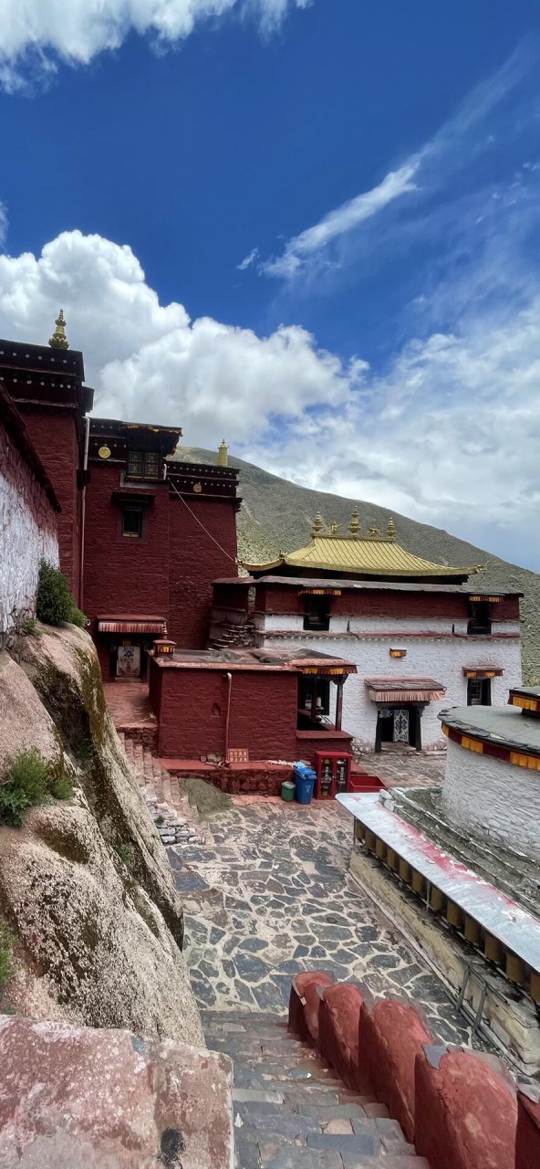 山南很特别的寺庙,丹萨梯寺,值得打卡 又是误闯的一个寺院 经过桑日县