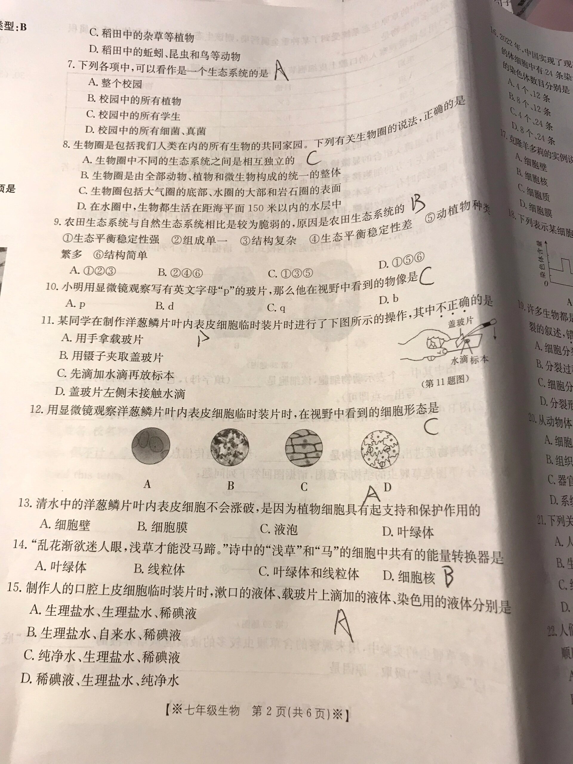 七年级上册生物期中卷子b卷