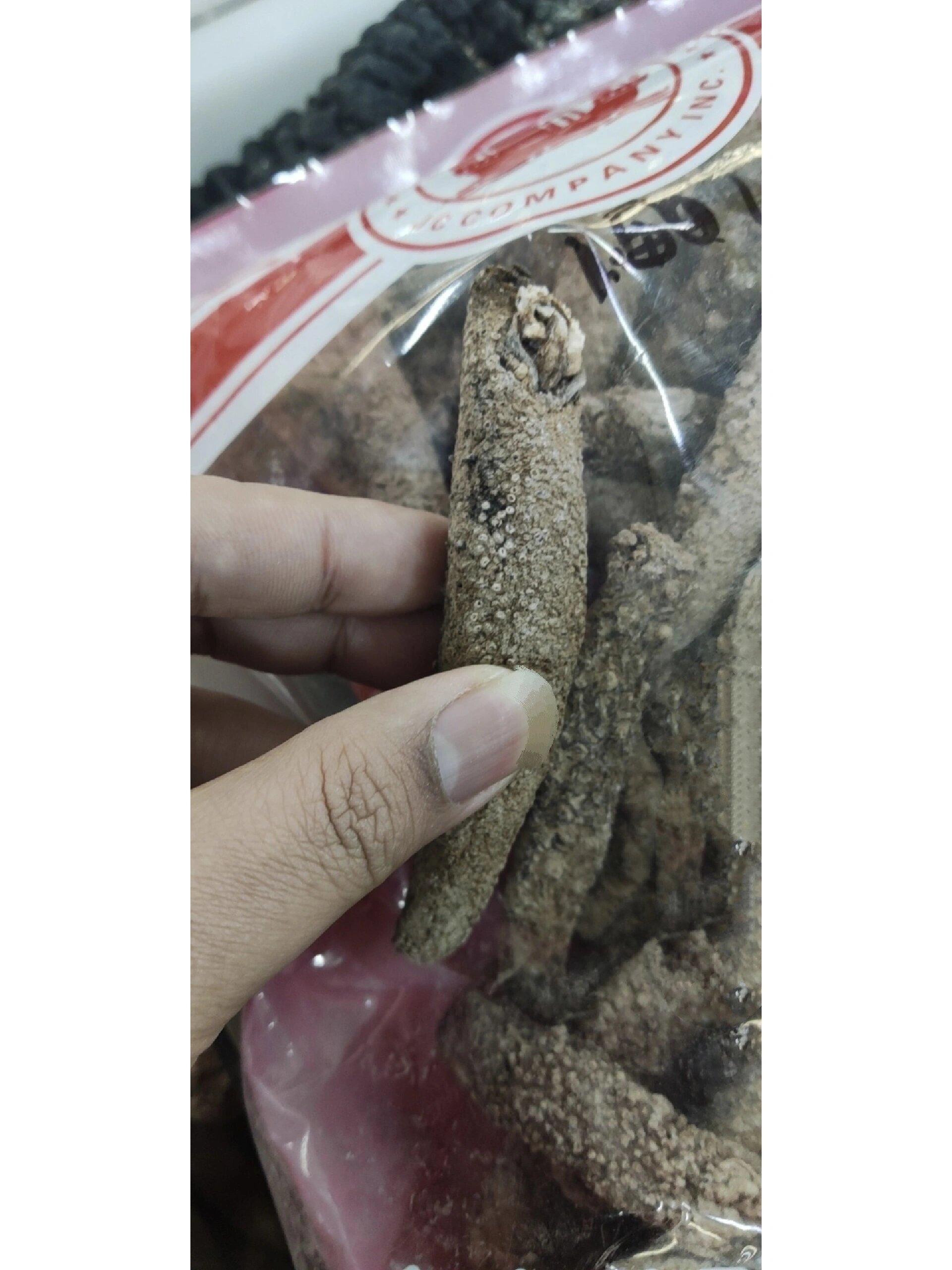 美国阿拉斯加海参