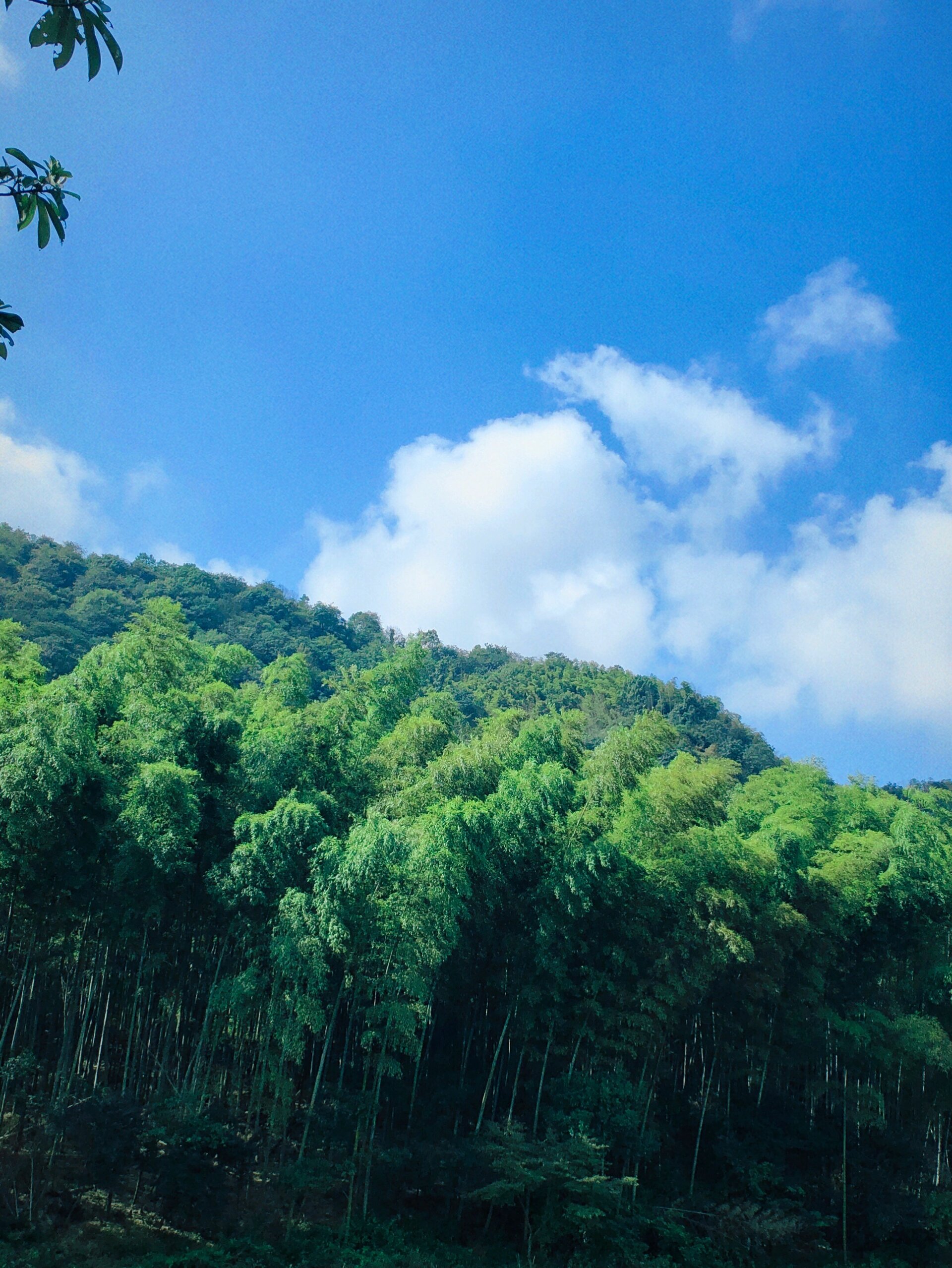 长沙乌山风景区图片