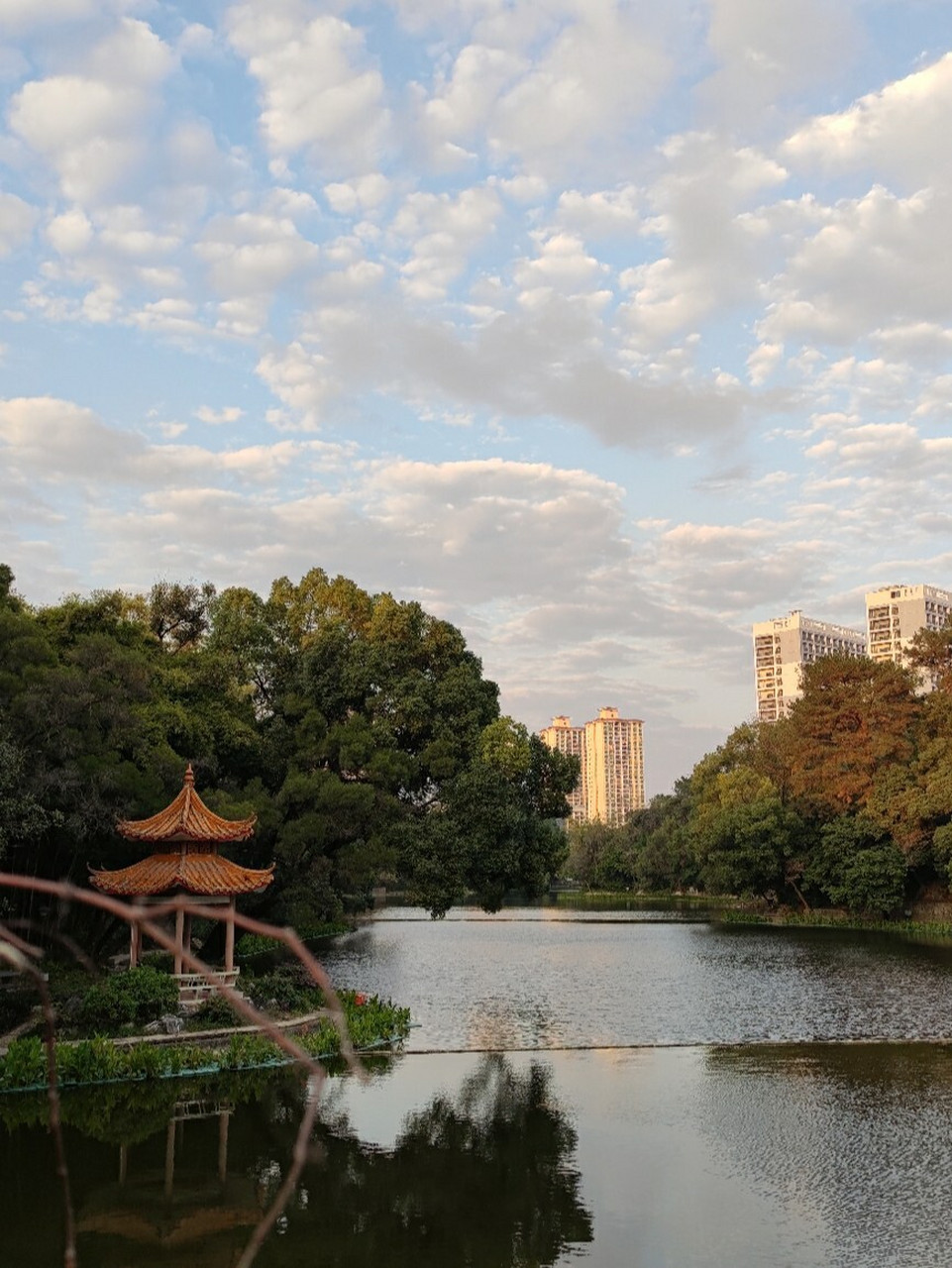 广西民族大学相思湖图片