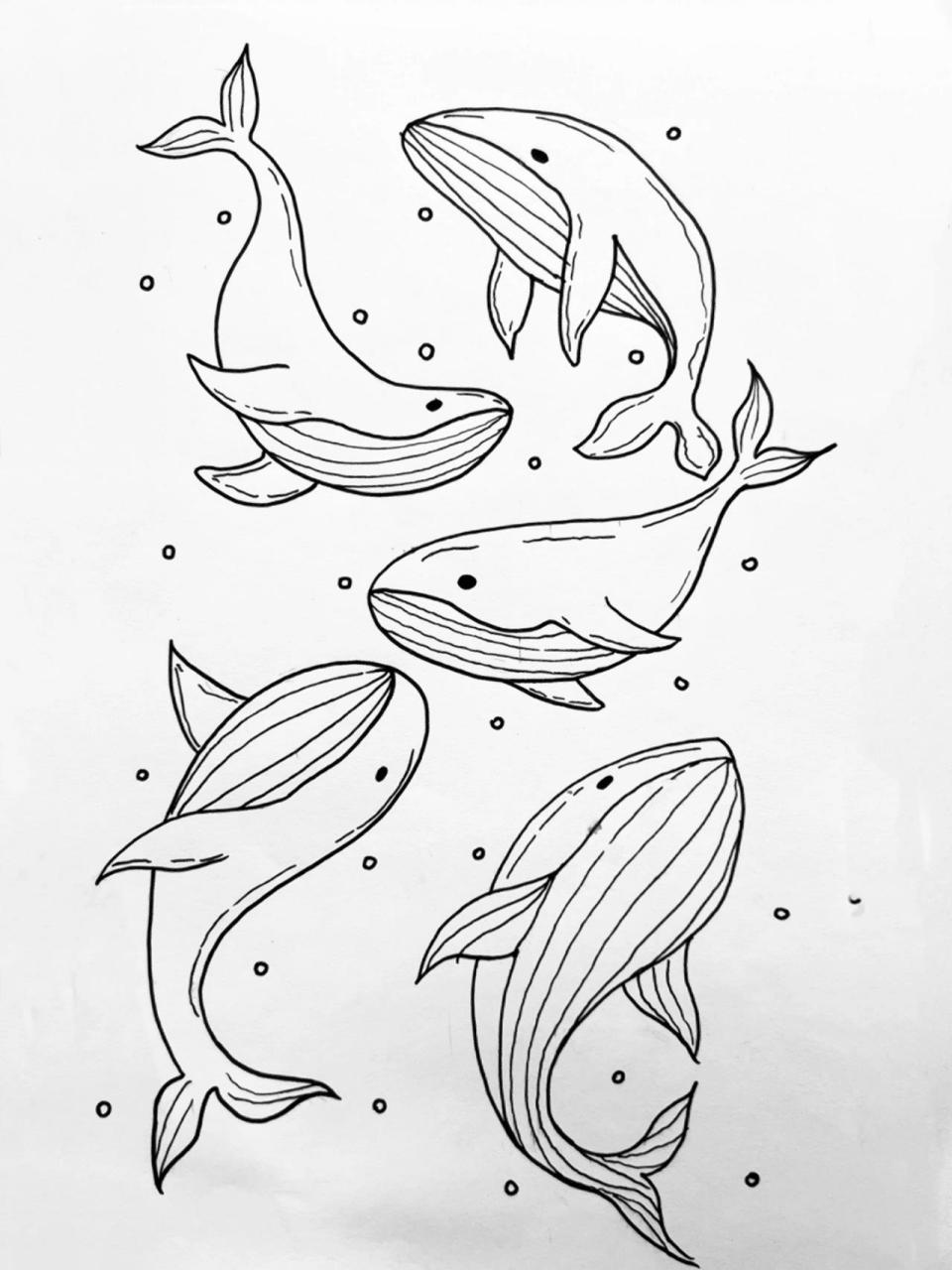 5|100挑战100张简笔画素材 深海里的蓝鲸篇 林深时见鹿,海蓝时见鲸