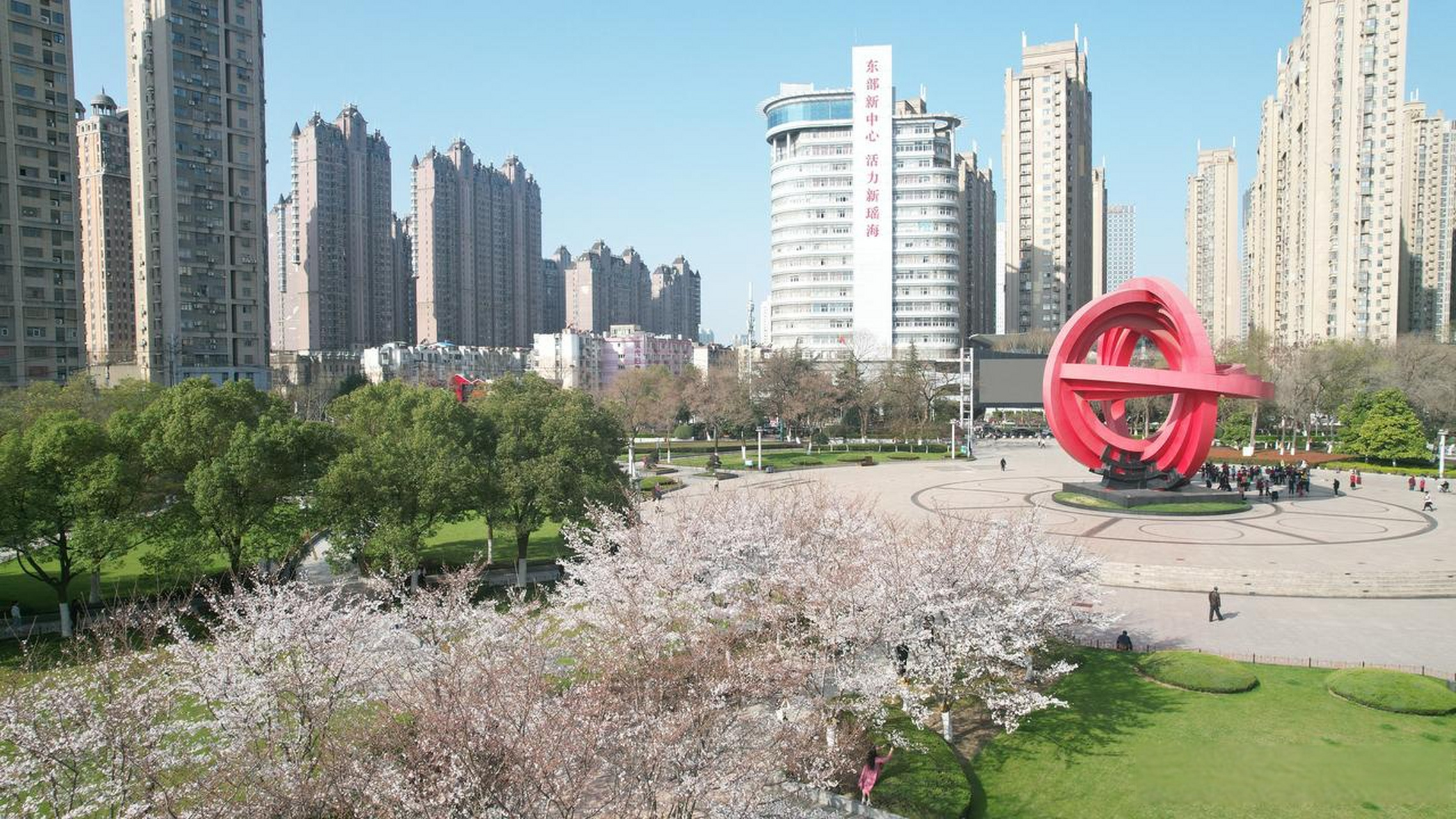 合肥头条2024年3月22日,合肥市瑶海区和平广场樱花进入最佳观赏期