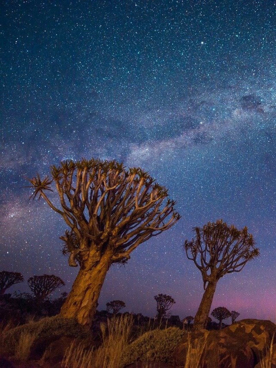 纳米比亚|45号沙丘77死亡谷77箭袋树星空 非洲纳米比亚南部,终年