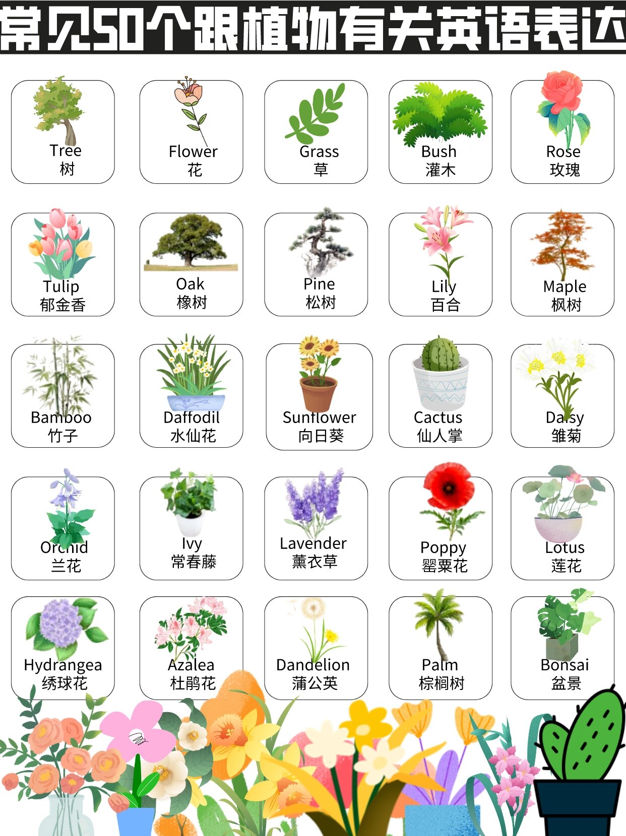 英语打卡第10天 今天给大家整理了一些跟植物有关的英语单词,所有的都