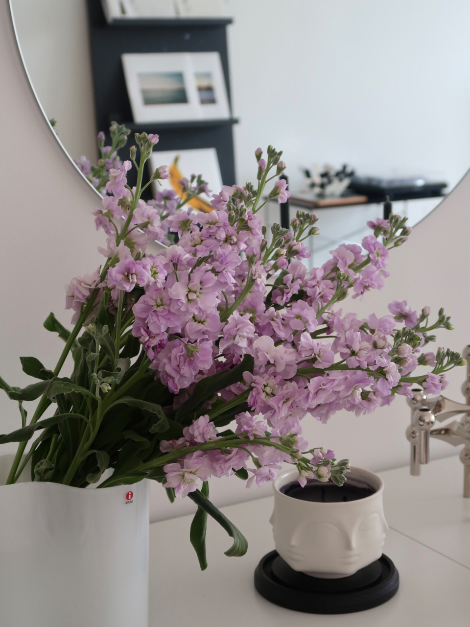 长嘘一口气的2021 迎接yi情后的崭新春天 希望给家里增添一些生机会 