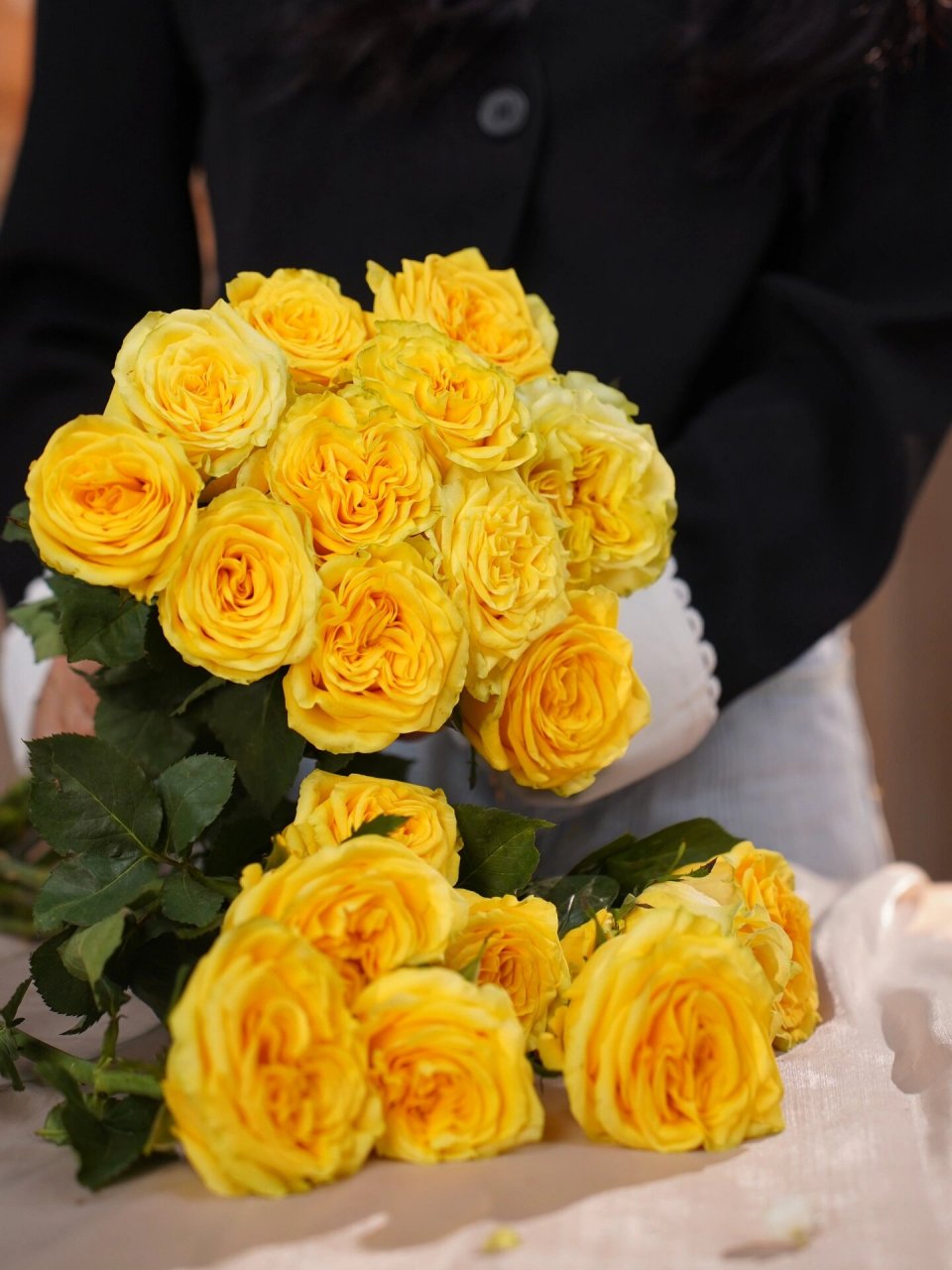 每日一花|day 15 月光女神玫瑰 98花语:清新而自然,温暖的爱 	 98