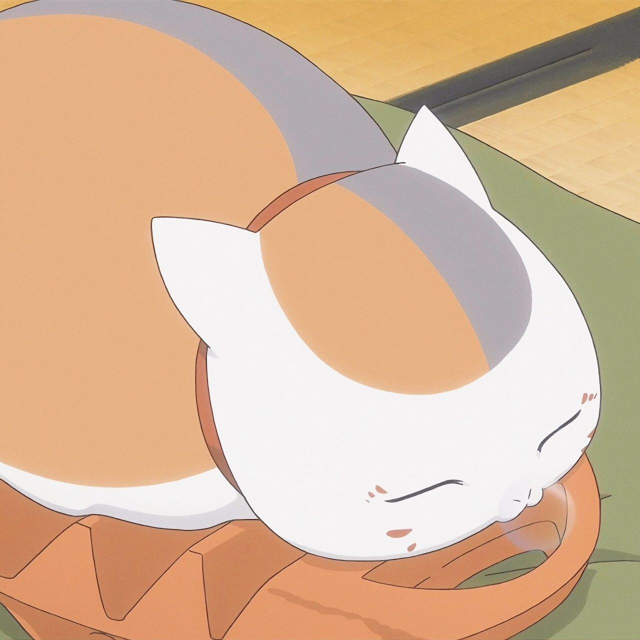 头像/猫咪老师 猫咪老师|自截修|23.04.17 唔起耳朵!