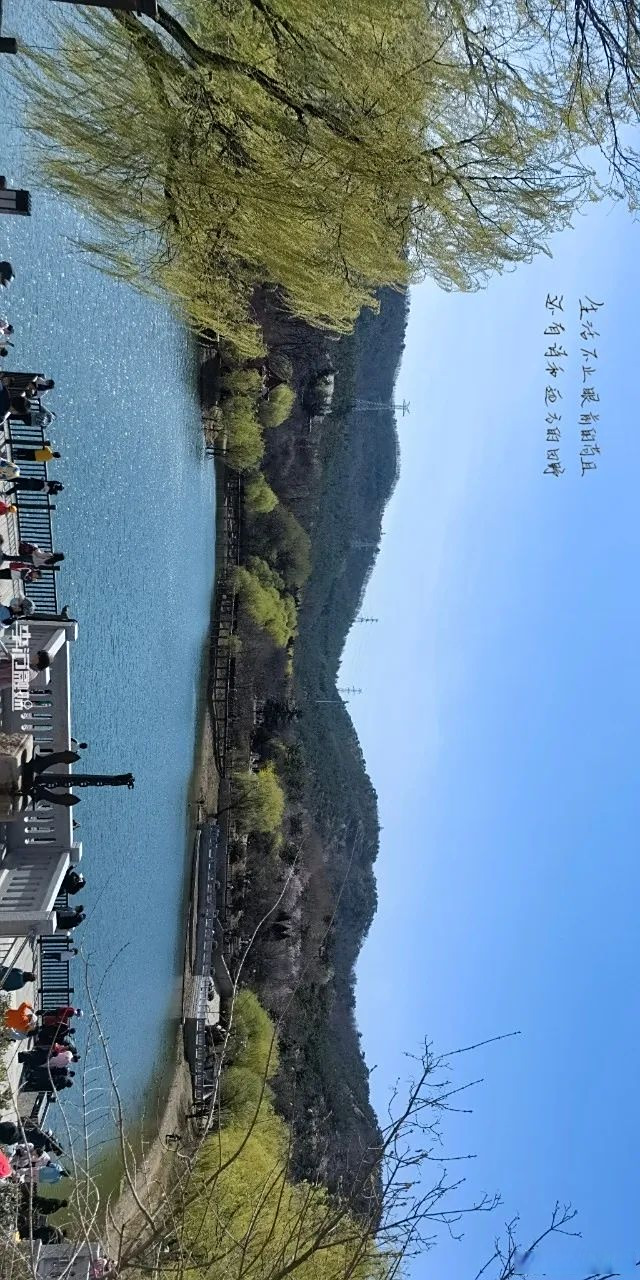 【#你好李沧# 】生活不止眼前的苟且,还有诗和远方的田野~#早安#早安