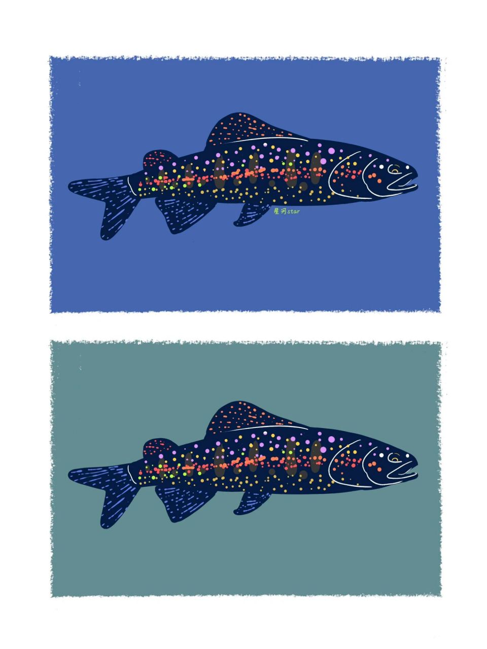 倾倒众多路亚爱好者|山女尊 08山女鳟属鲑科大麻哈鱼属,和现在的