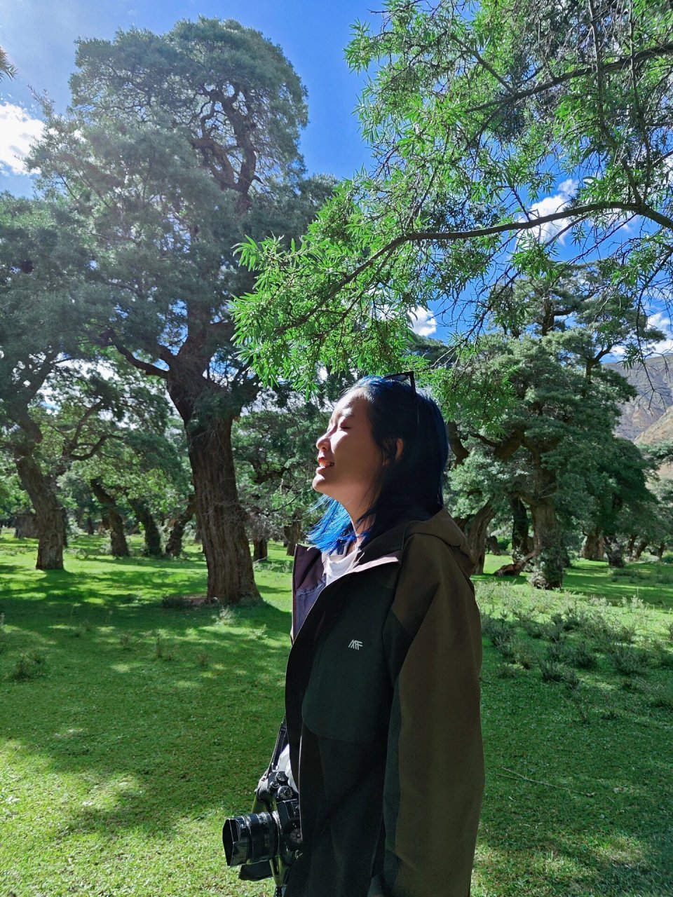 山南|错那县千年沙棘林 贫瘠山谷里的一片绿洲 屹立千年的沙棘林!