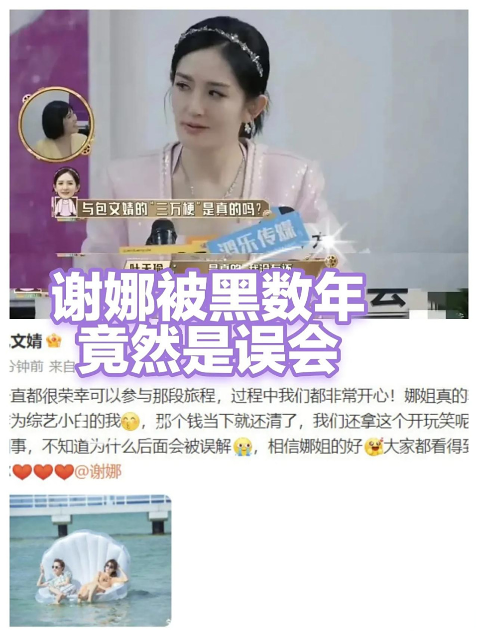 谢娜为什么被黑